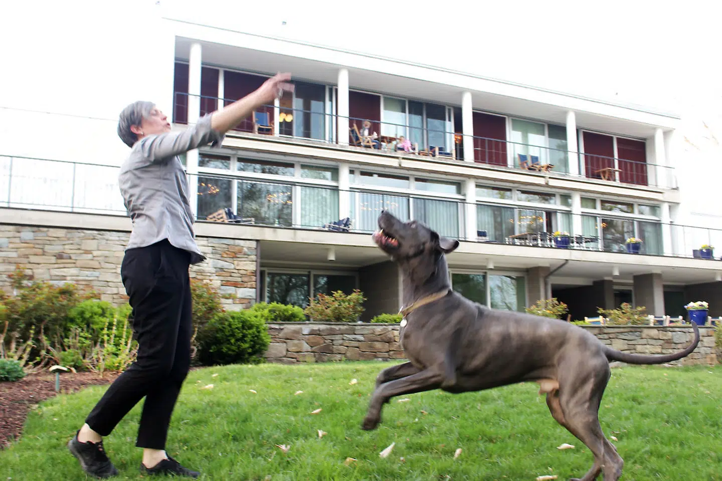 Lone Wisborg har sin grand danois »Cæsar« med i Washington DC, og hunden tiltrækker sig stor opmærksomhed – så stor, at amerikanere stopper op for at tage selfies med hunden.