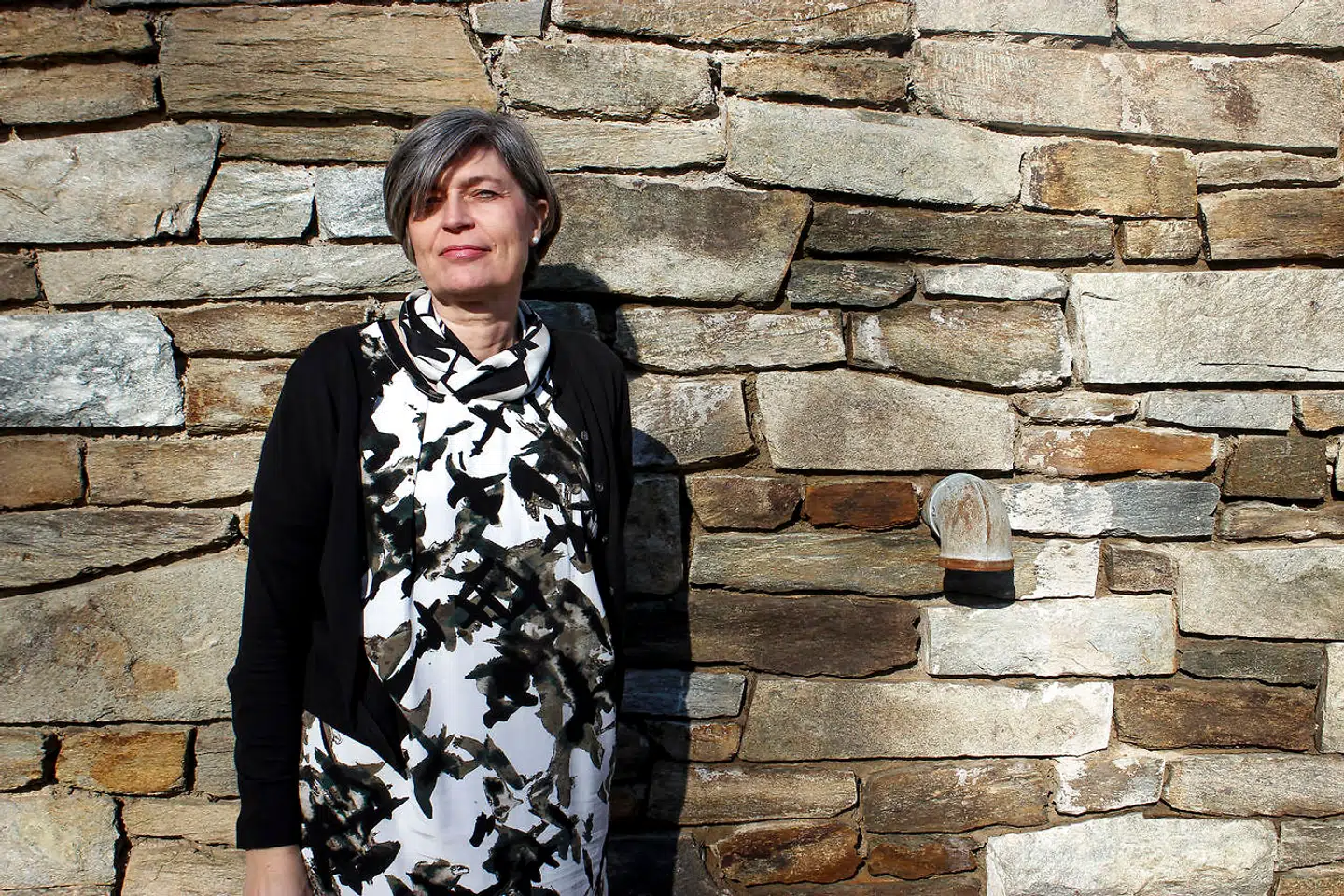 »En så stor omlægning af et stort politikområde kræver, at man er rigtig god til at forklare vælgerne, at det, man får, er bedre end det, man havde,« siger Lone Wisborg om Bernie Sanders og Elizabeth Warrens forslag om at erstatte det private forsikringsbaserede sundhedsvæsen med et offentligt som i Danmark.