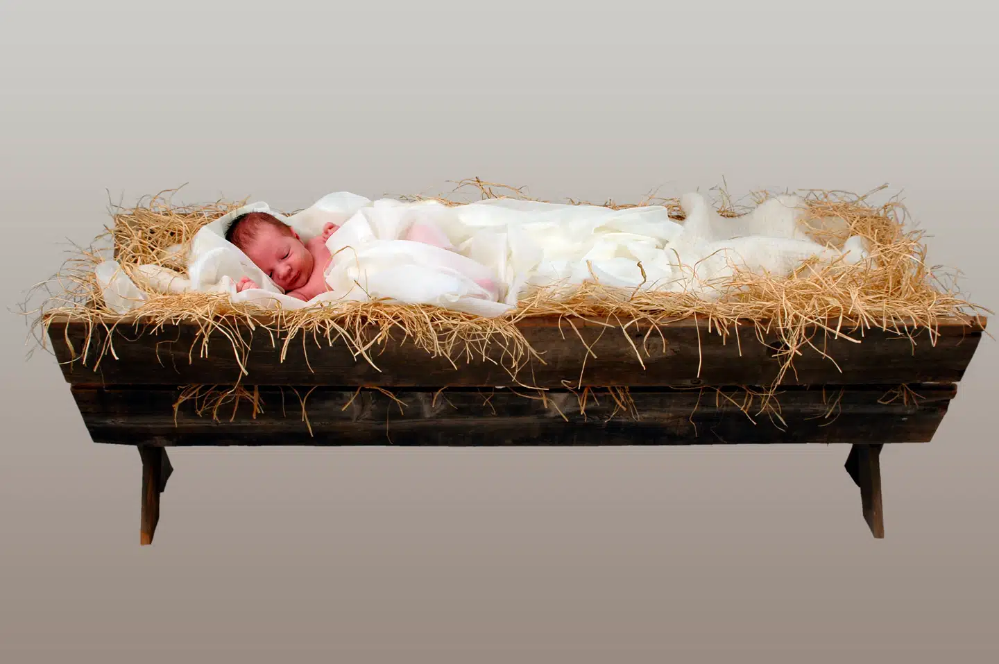 Foto: Gino Santa Maria/Bigstock