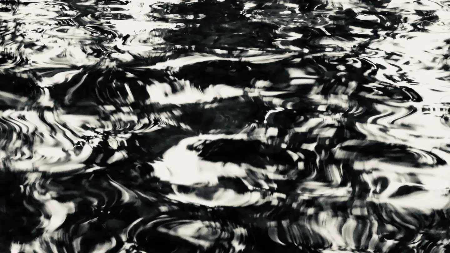 Vandet i al sin flydende mangfoldighed er temaet for Danmarks bidrag til næste års arklitekturbiennale i Venedig.