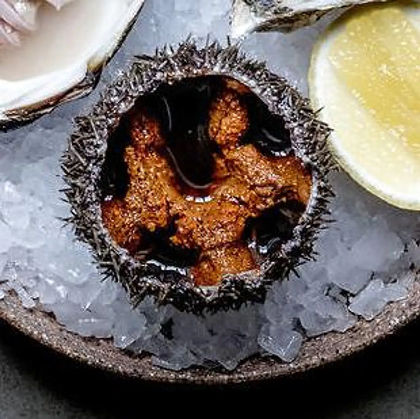 Råt søpindsvin er en af de gængse råvarer på menuen i den nynordiske bølge. Jesper Uhrup vil helst være fri.