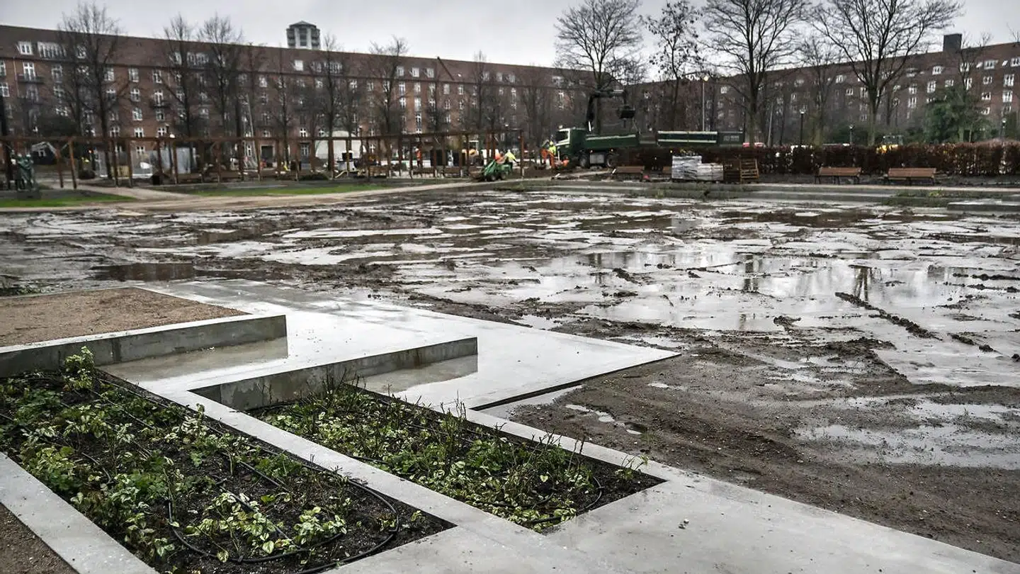 Det kan kun være en ubændig trang til at overholde tidsplaner, der får kommunen til at åbne Enghaveparken nu. Men forhåbentlig virker skøjtebanen – og til sommer vil der igen være roser i rosenhaven. Et stort rørtankanlæg under rosenhaven opsamler regnvandet fra Carlsbergbyen og genbruger det til vanding af kommunens træer.