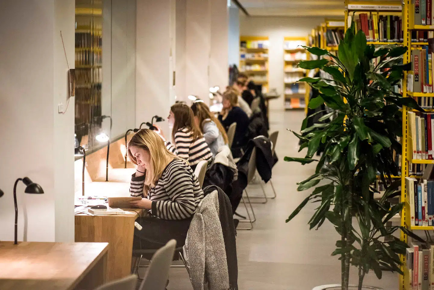 »Man skal være utrolig blind, hvis man ikke kan se, at det her er en del af noget større, der har nogle totalitære træk. Det handler om noget, der aldrig må foregå i et demokratisk samfund, nemlig at staten eller dens institutioner har en bestemt ideologi, som skal trumfes igennem.« Sådan siger lektor Marianne Stidsen om den identitetspolitiske udvikling på Københavns Universitet.Foto: Asger Ladefoged