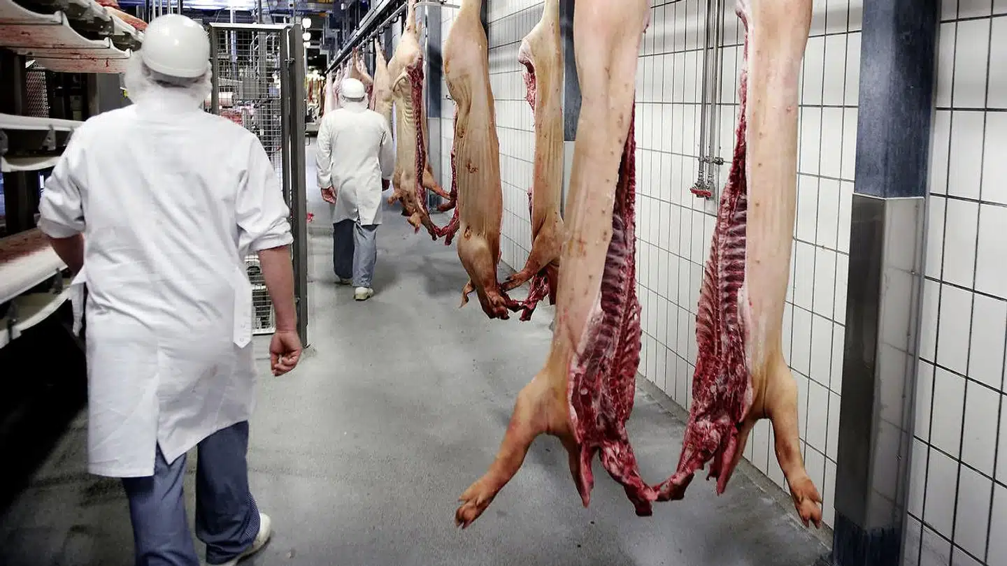 »EU har ikke ret til at bestemme lønniveauet i de enkelte lande. Det står i traktaten – EUs grundlov. Løn er et nationalt anliggende,« skriver Jacob Holbraad, Lizette Risgaard og Peter Hummelgaard.