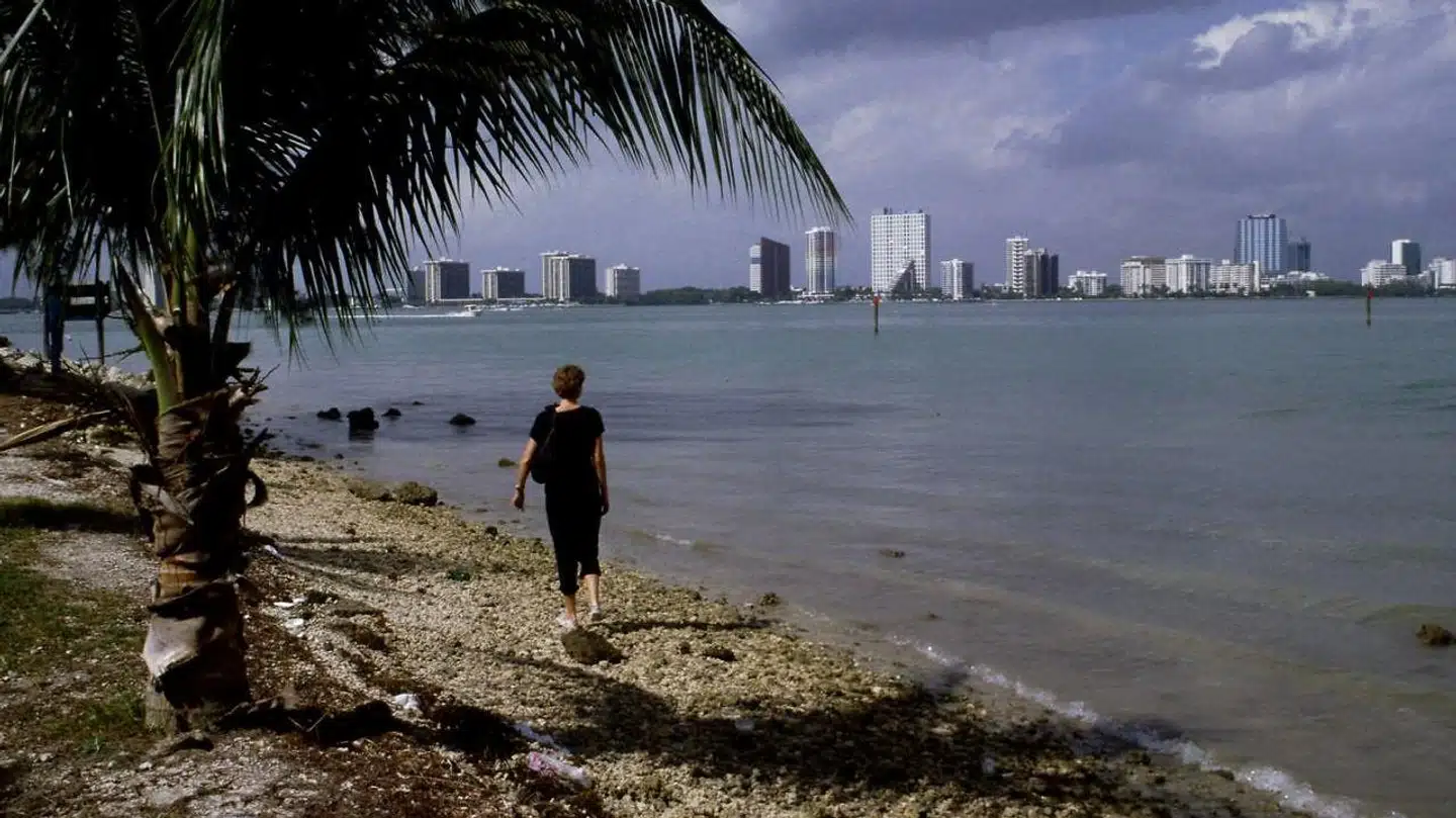 Miami er blandt de steder i verden, hvor valuarkoncernen Knight Frank forventer de højeste prisstigninger på ejendomme i 2020.