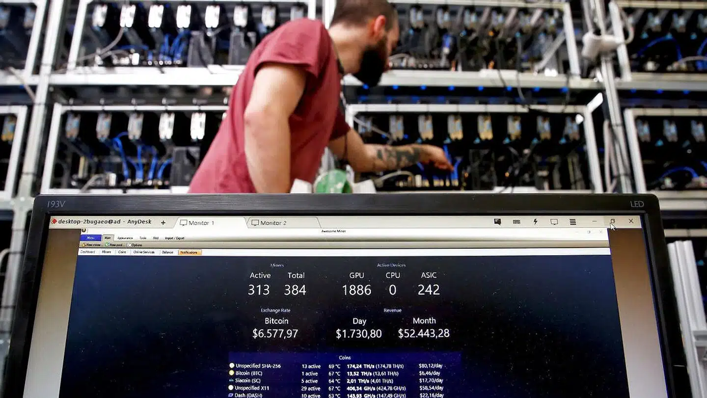 Bitcoin er en virtuel valuta, der lever i store computere som denne, hvor skærmen viser udsving i kursen på Bitminer Factory i Italien. Arkivfoto: Alessandro Bianchi/Reuters/Ritzau Scanpix