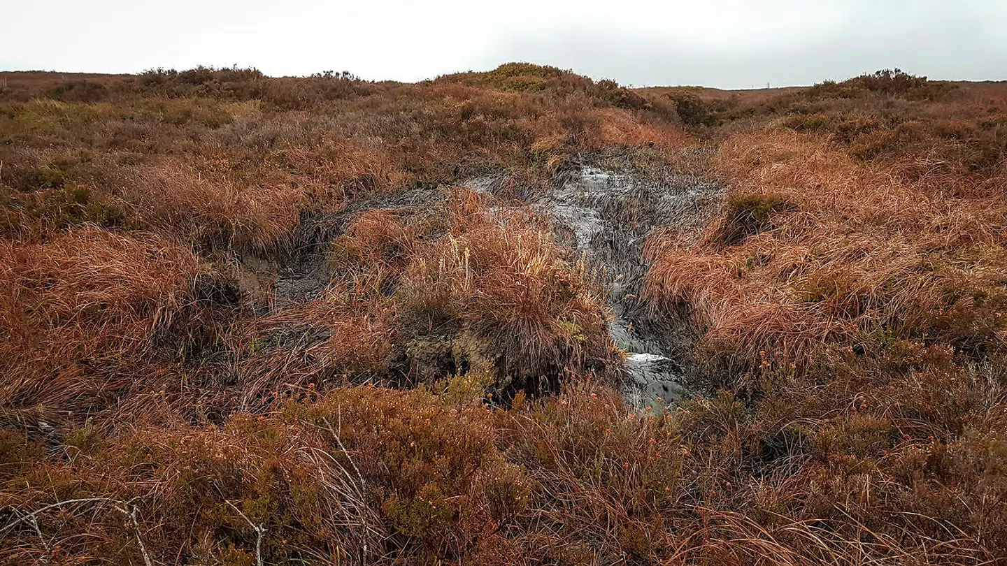 Her endte David Sullivan sit liv – i en vildmose ved Belcoo på grænsen mellem Nordirland og Irland.