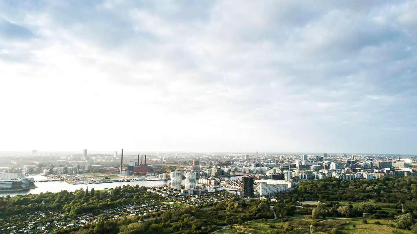 Amager Fælled er et gammelt militært øvelseareal – og et af de få steder i København, hvor man kan opleve et stort sammenhængende naturområde.