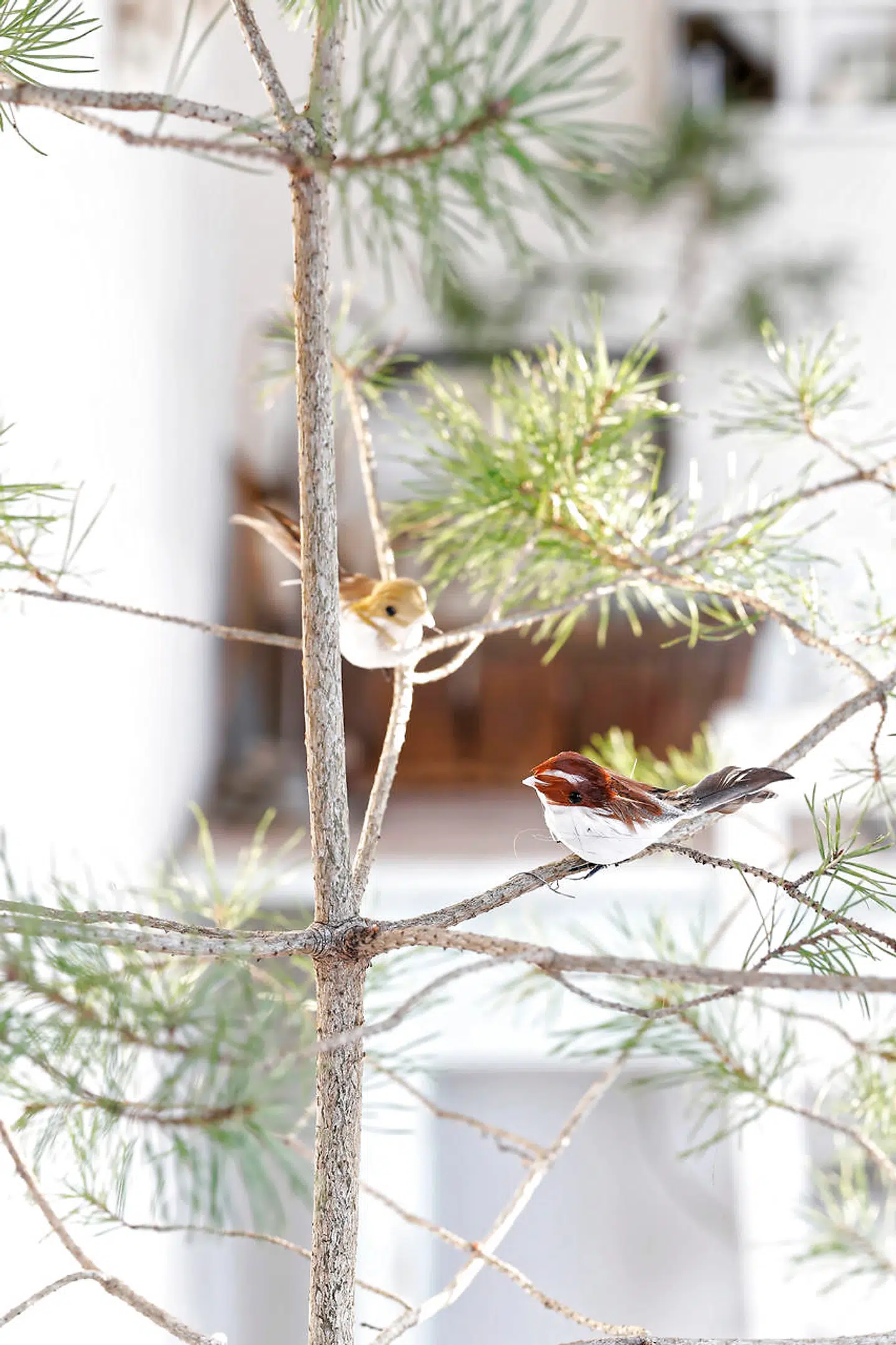 En del af spisestuen er Anne Egelunds kreahjørne med en gammel kiste, som fulgte med huset. Fyrretræet står i potte indpakket i en gammel postsæk. På grenene sidder små, kunstige fugle af fjer.