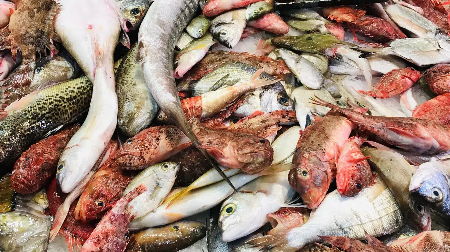 Der er altid pivfriske fisk på madmarkedet Mercat de O'liver i Palma de Mallorca.