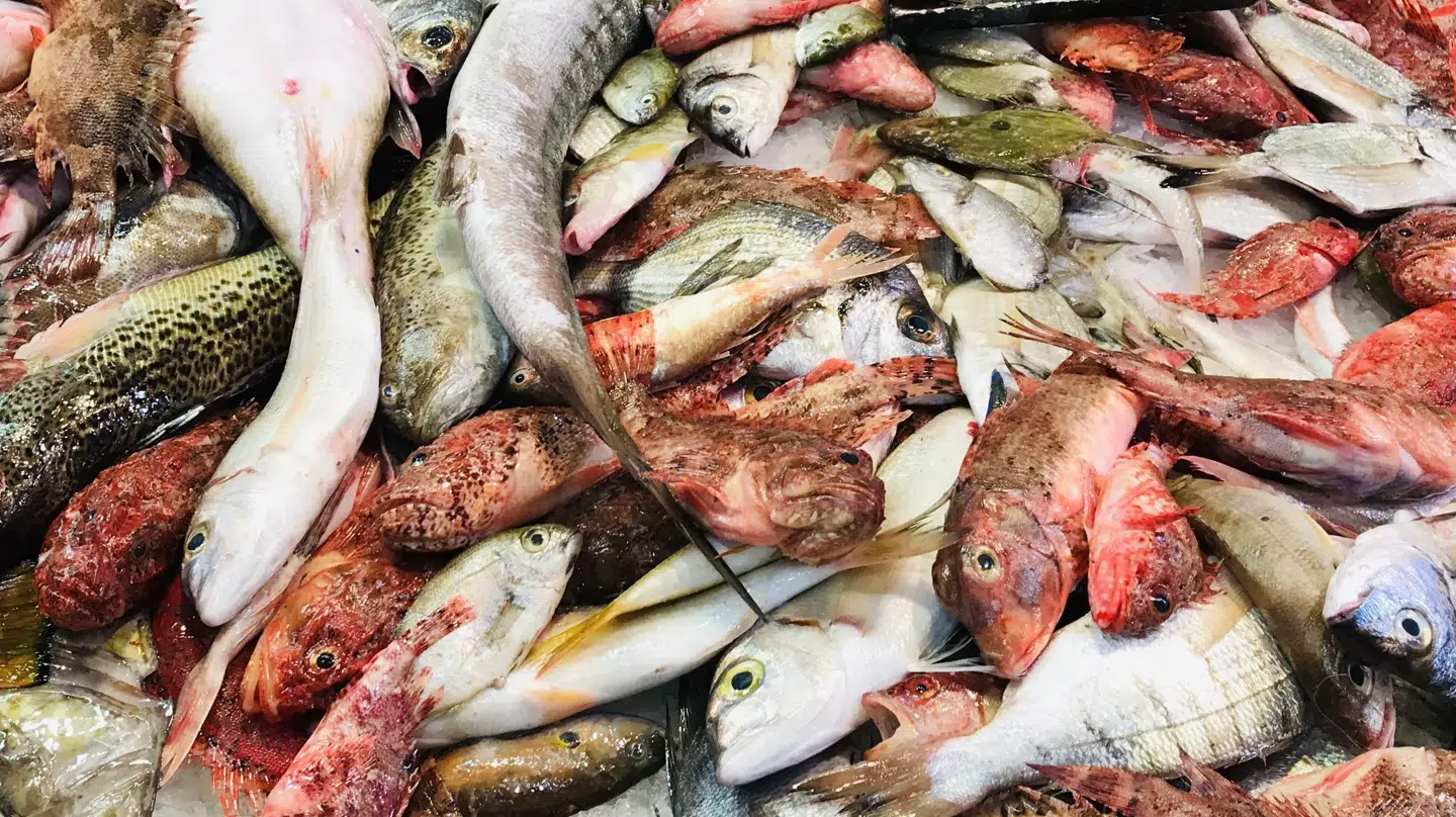 Der er altid pivfriske fisk på madmarkedet Mercat de O'liver i Palma de Mallorca.