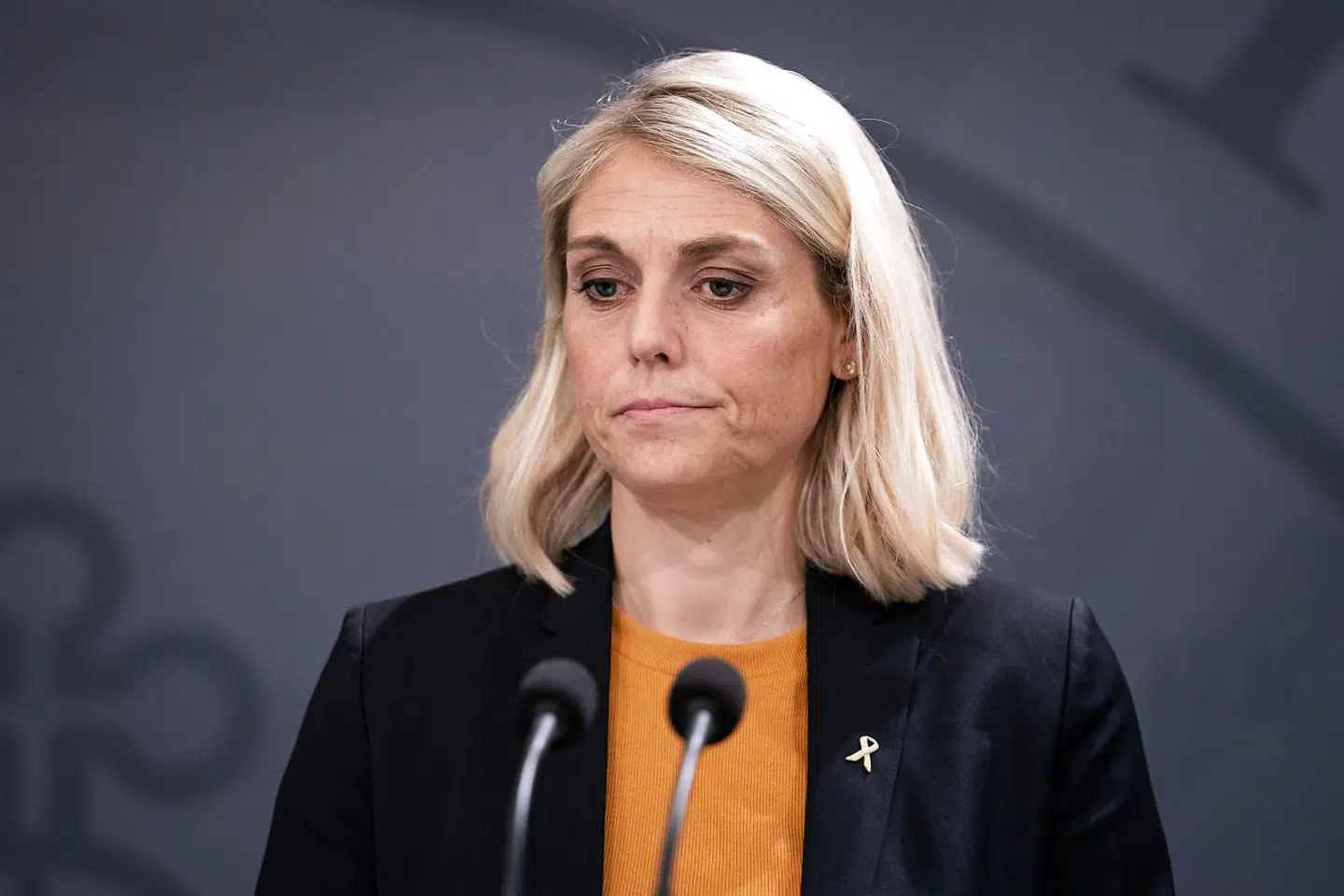 »Jeg ved, at der har været kendskab til sagen gennem noget tid. Derfor sidder jeg og savner den samme indsigt i sagen. Det har jeg bedt om at få – meget hurtigt,« fortalte forsvarsminister Trine Bramsen (S) til Berlingske fredag.