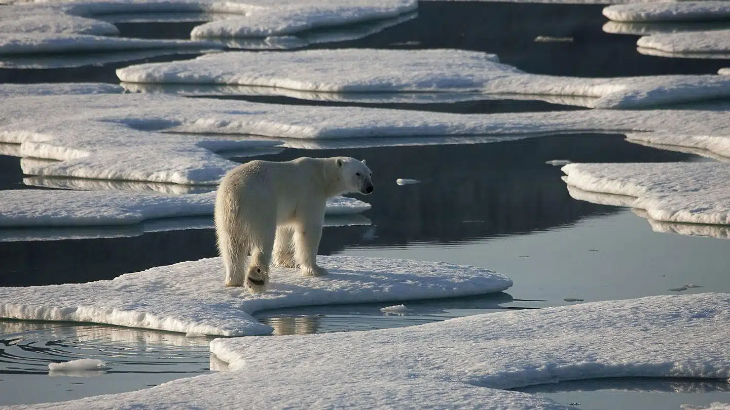 i år har FNs klimapanel (IPCC) advaret om, at isen smelter med accelererende hast. Af de 19 varmeste år, vi har målt siden 1880, finder vi 18 af dem efter 2001, og de seneste fem år har været de varmeste, skriver kronikørerne.