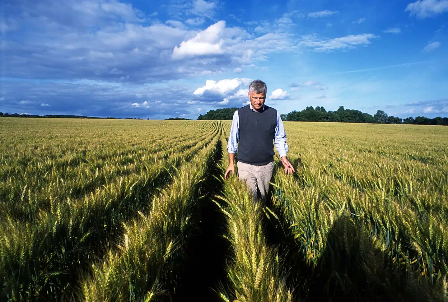 Efter mere end ti års detaljeret klimabogholderi kan Thomas Harttung fra Aarstiderne nu afsløre præcis, hvilke kneb der virker, når man vil levere bæredygtig mad.