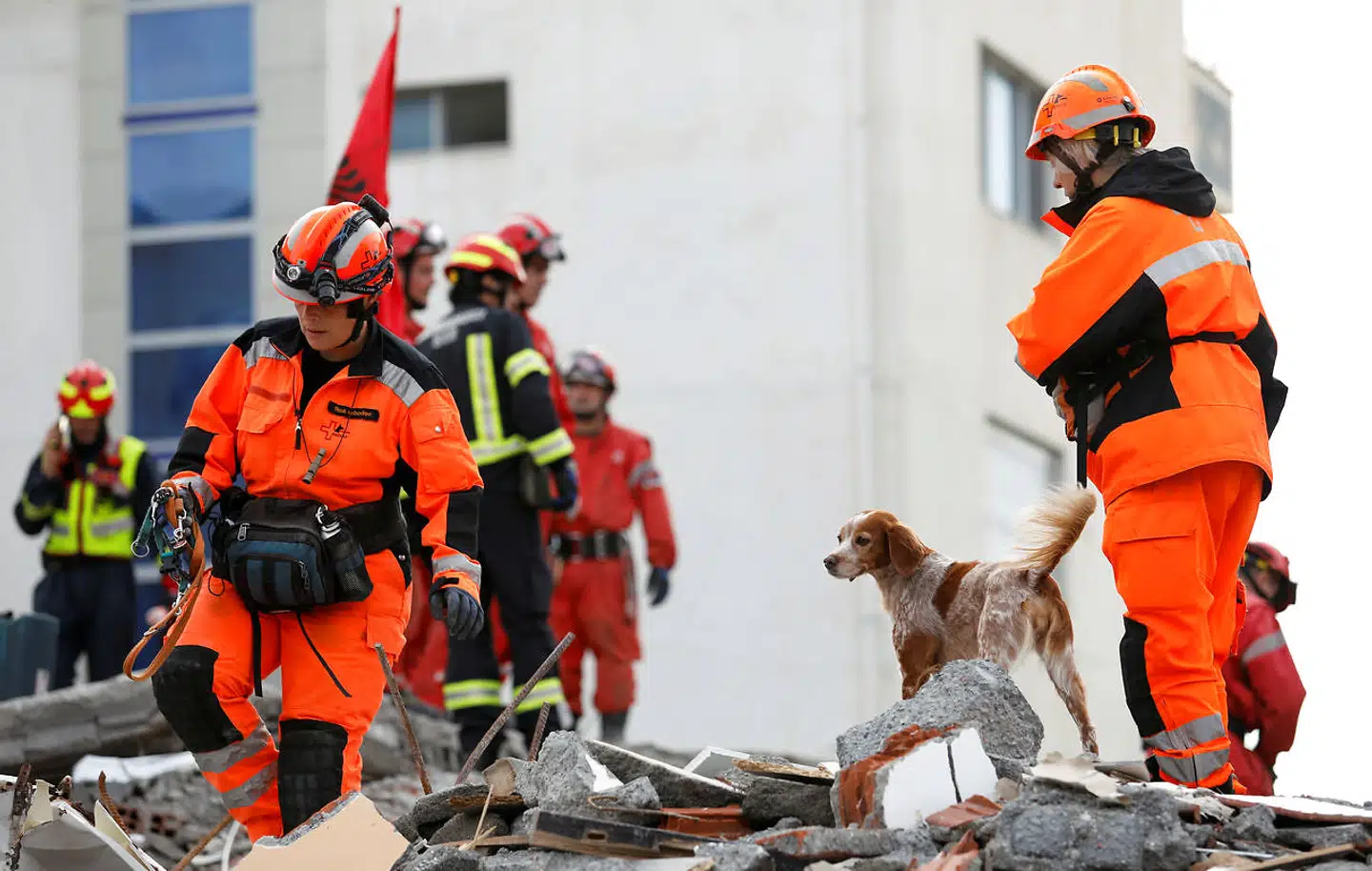 I Albanien har det kraftigste jordskælv i flere årtier jævnet huse med jorden. Fredag er dødstal opjusteret.