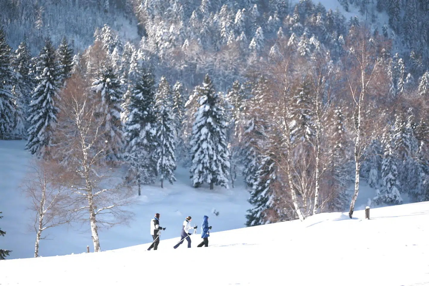 Langrend er hård motion, og det kan være en god idé at træne hjemmefra.