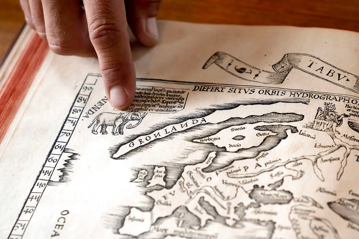 Grønland er kendt for elfenben i det 17. århundrede og illustreres passende nok med en elefant...