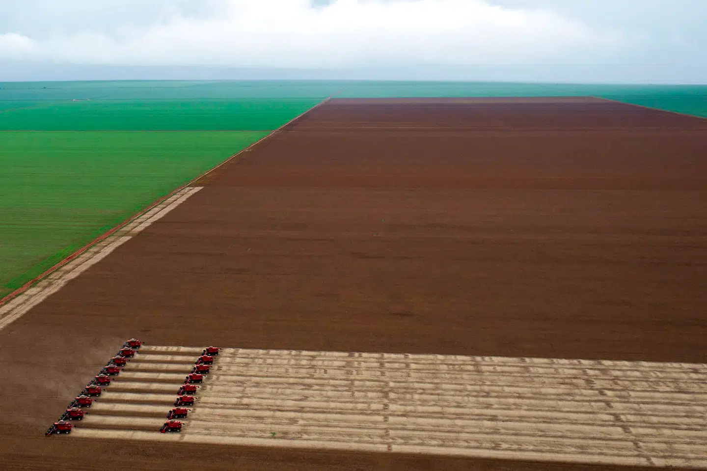 Op mod tre fjerdedele af hele verdens landbrugsareal bruges til at dyrke afgrøder, som vi fodrer især kvæg, svin og kyllinger med. Her er soyahøsten i fuld gang i Brasilien, hvor regnskoven bliver stadigt mindre.