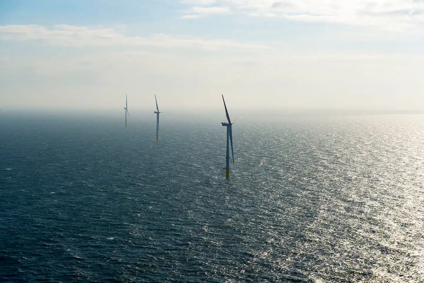 På Horns Rev 3 har Vattenfall opsat, hvad der for få år siden var verdens kraftigste vindmøller, som hver kan levere 8,3 megawatt.