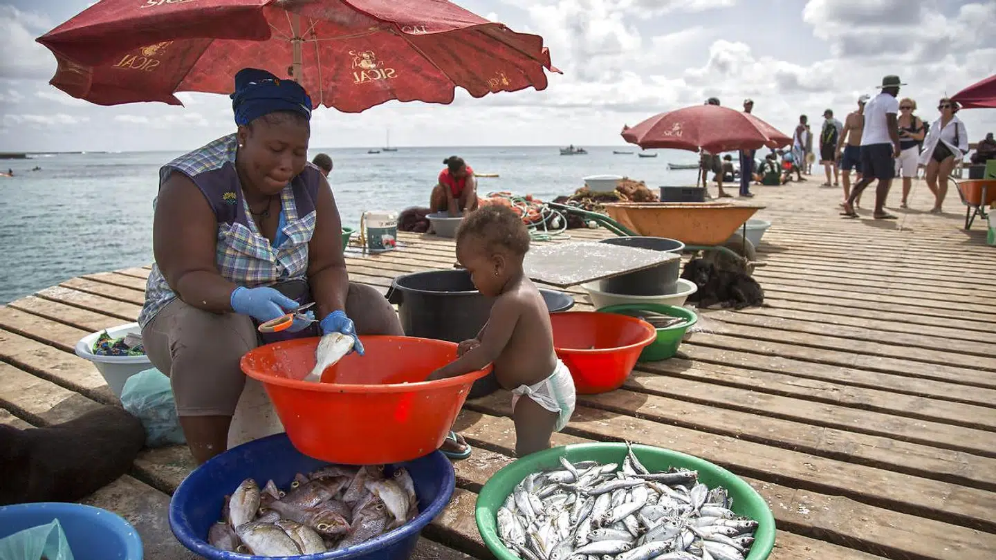 De fleste på Kap Verde har noget med havet at gøre. Dengang, da øens beboere var ved at dø af sult, var de så heldige, at et dansk skib gik på grund.