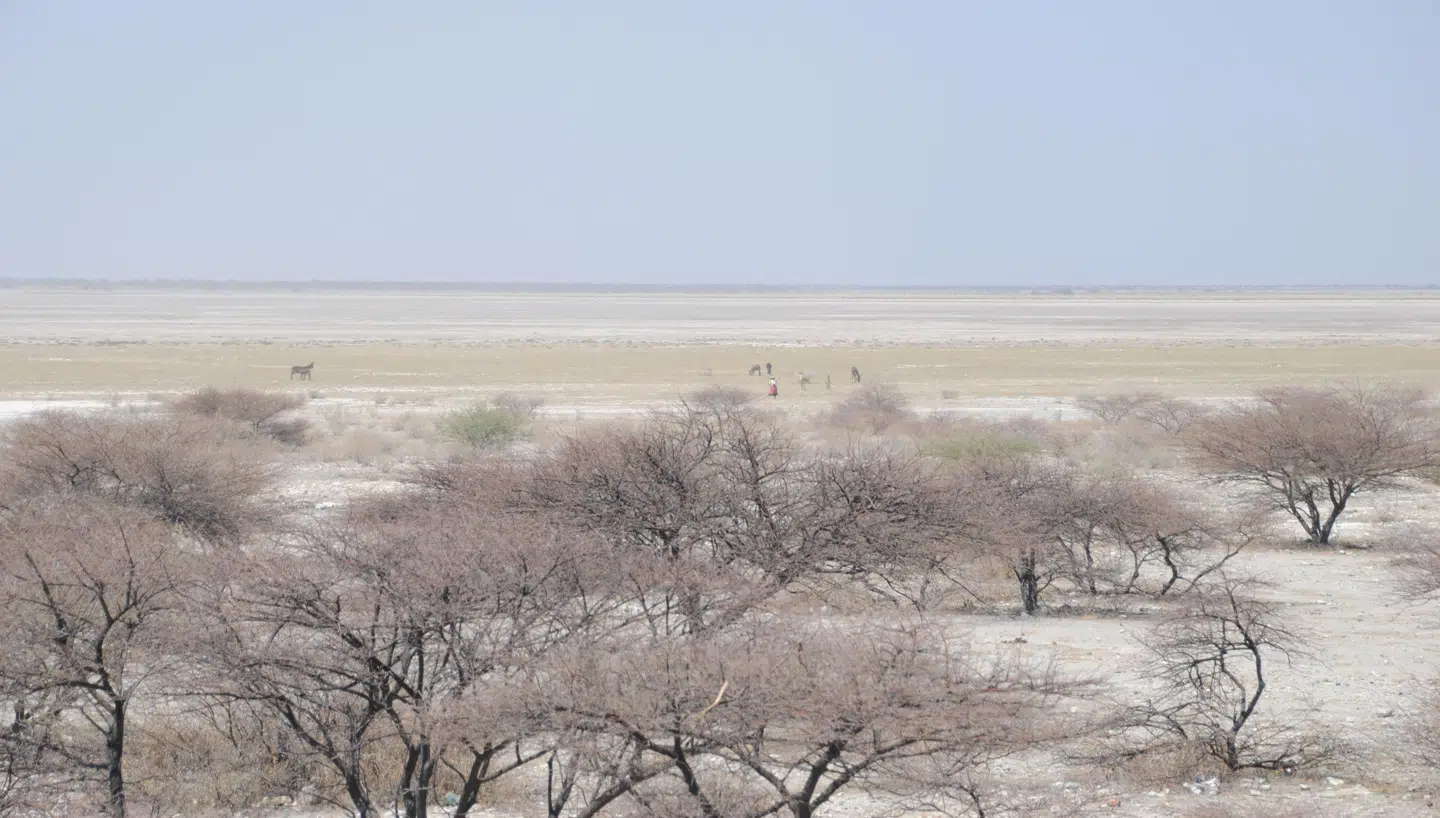 I dag er der temmelig trøstesløst på saltsletten Makgadikgadi i det nordøstlige Botswana. Men for 200.000 år siden var sletten en kæmpemæssig sø omgivet af grønt og frugtbart land. Måske den sande Edens Have.