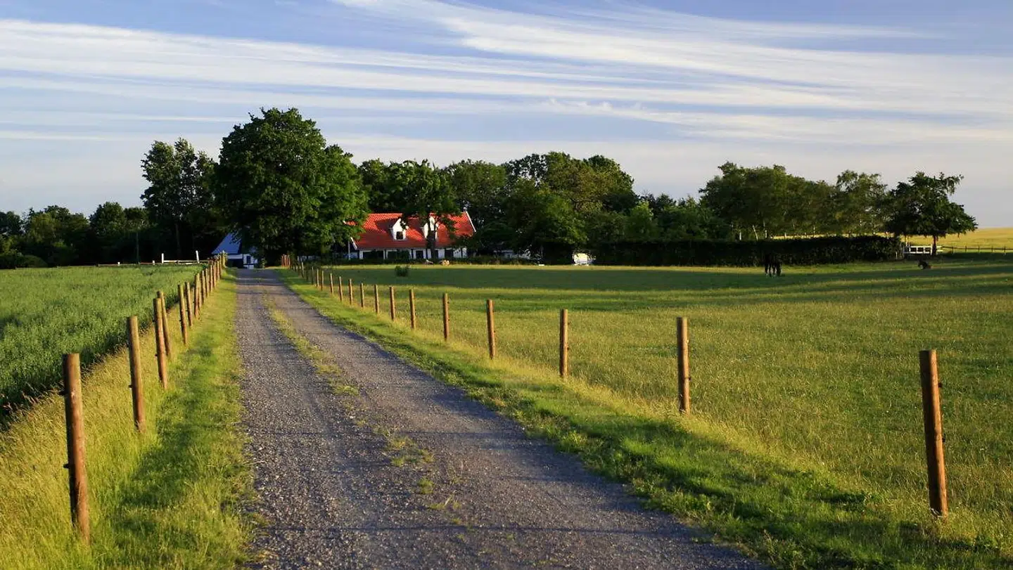 Der er så dejligt ude på landet. Der er bare ikke altid internetforbindelse og heller ikke altid udsigt til at kunne få en. Arkivfoto: Iris/Ritzau Scanpix
