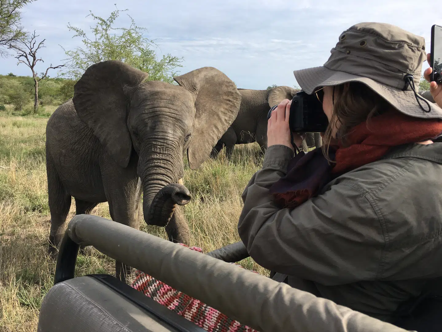 Nok se, men ikke røre, selv om det er fristende. Så tæt på kommer de vilde elefanter nemlig safarijeepen i det private vildtreservat Mala Mala i Sydafrika.