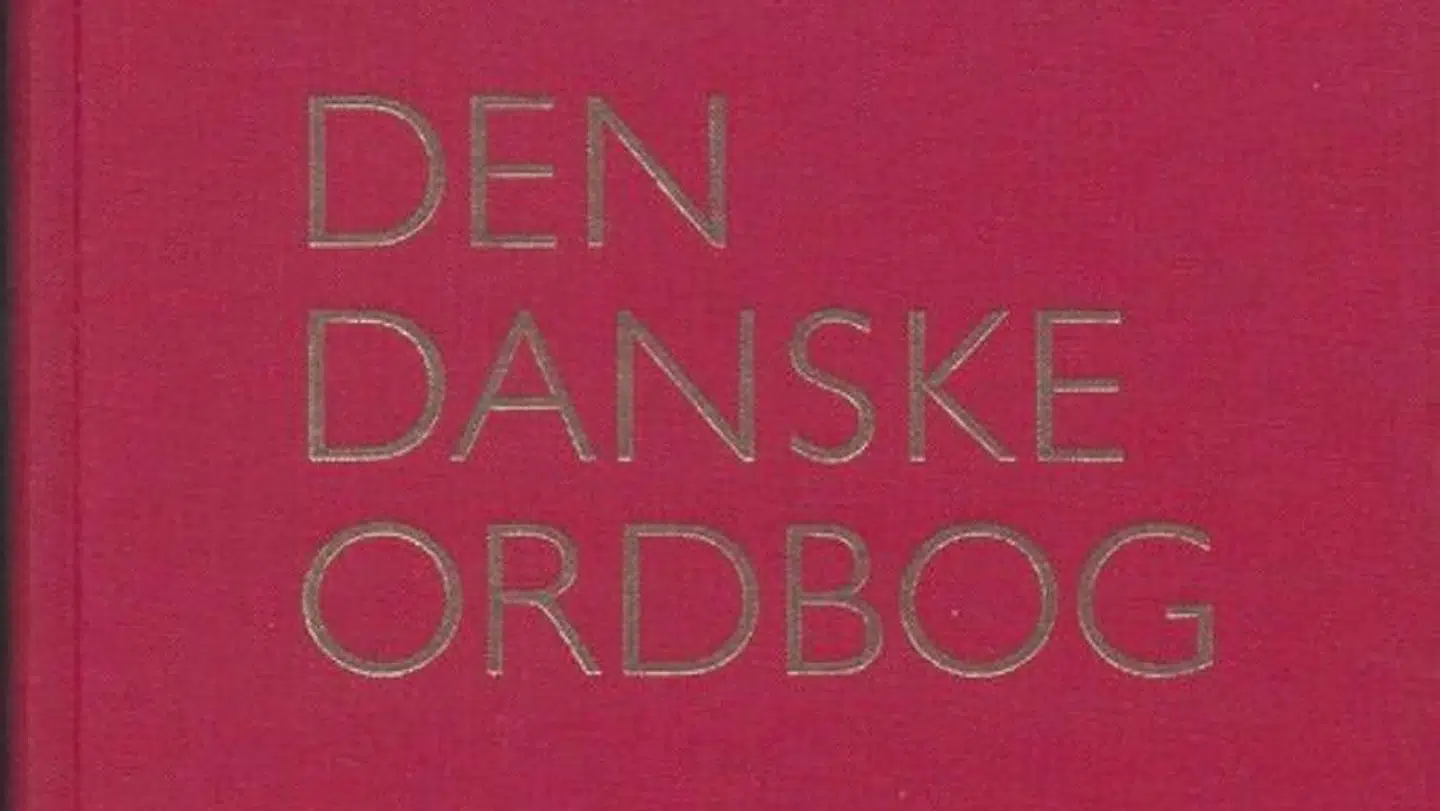»Hver dag lægger over 100.000 mennesker deres vej om ad Den Danske Ordbog for at få vejledning i, hvad et ord eller et udtryk betyder, og hvordan det bruges. Til november kan ordbogen (...) fejre sit ti-års jubilæum som netordbog,« skriver Henrik Lorentzen, Sanni Nimb, Karen Skovgaard-Petersen og Lars Trap-Jensen.