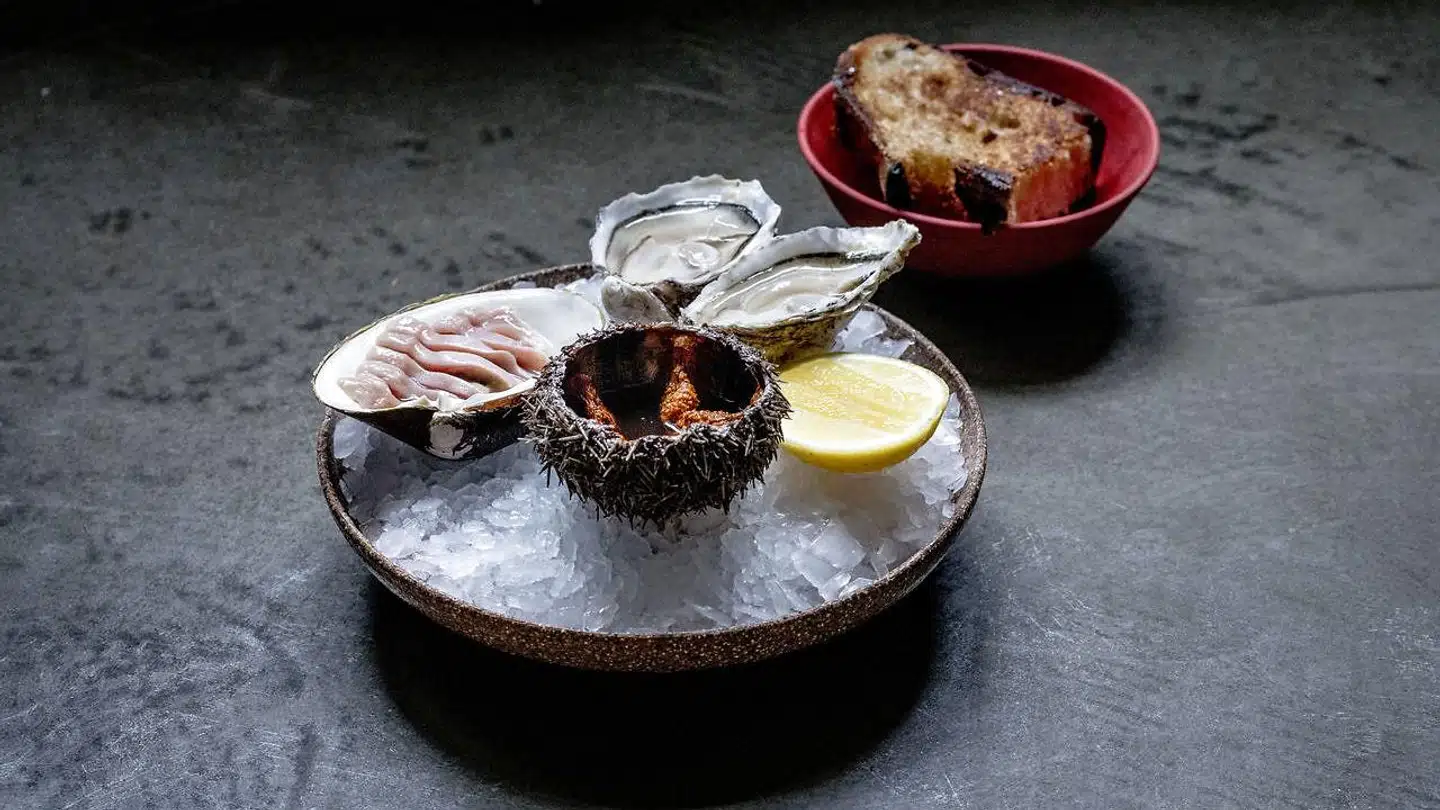 Østers, molboøsters og søpindsvin på Iluka.