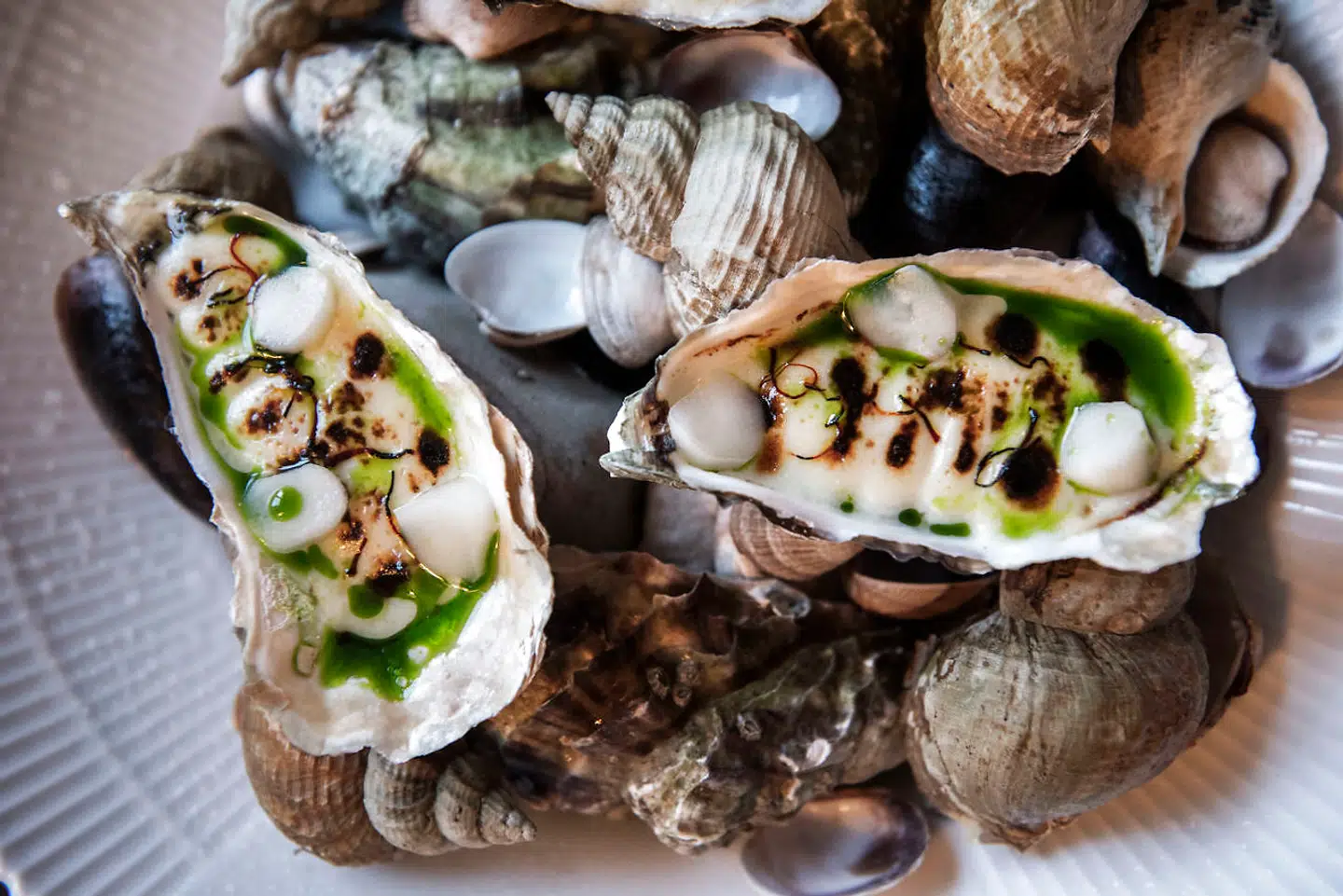 The Pescatarian serverer blandt andet gratinerede østers med gammelknas-ost.