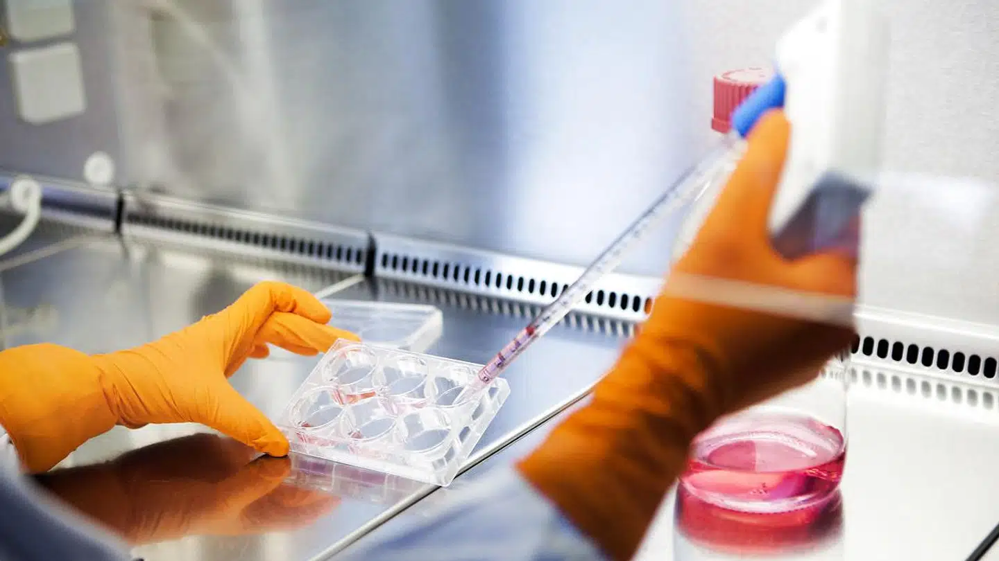 Bavarian Nordic er gået på storindkøb hos GlaxoSmithKline.