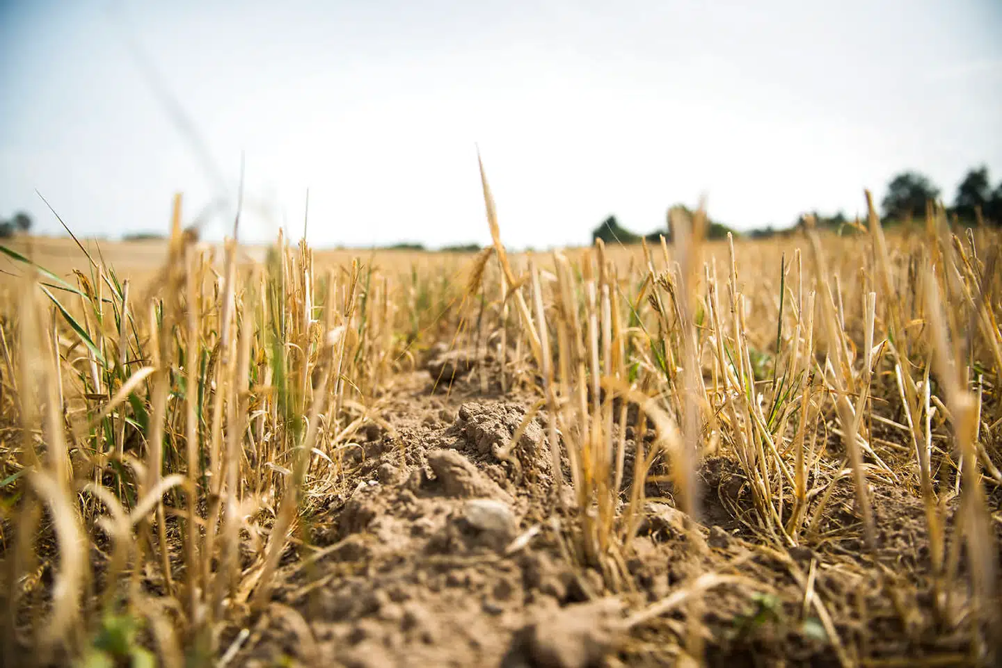 Landbrugsstyrelsen har jobbet til dig, hvis du er mere agil end de fleste.