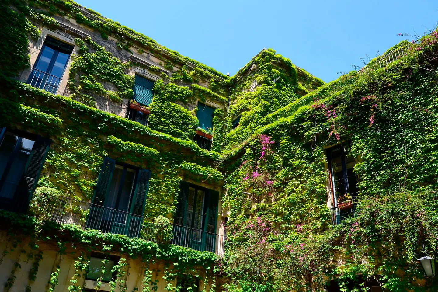 Palazzo Rollo er et adelspalæ med en usædvanlig grøn baggård. Palæet er i dag et luksushotel.
