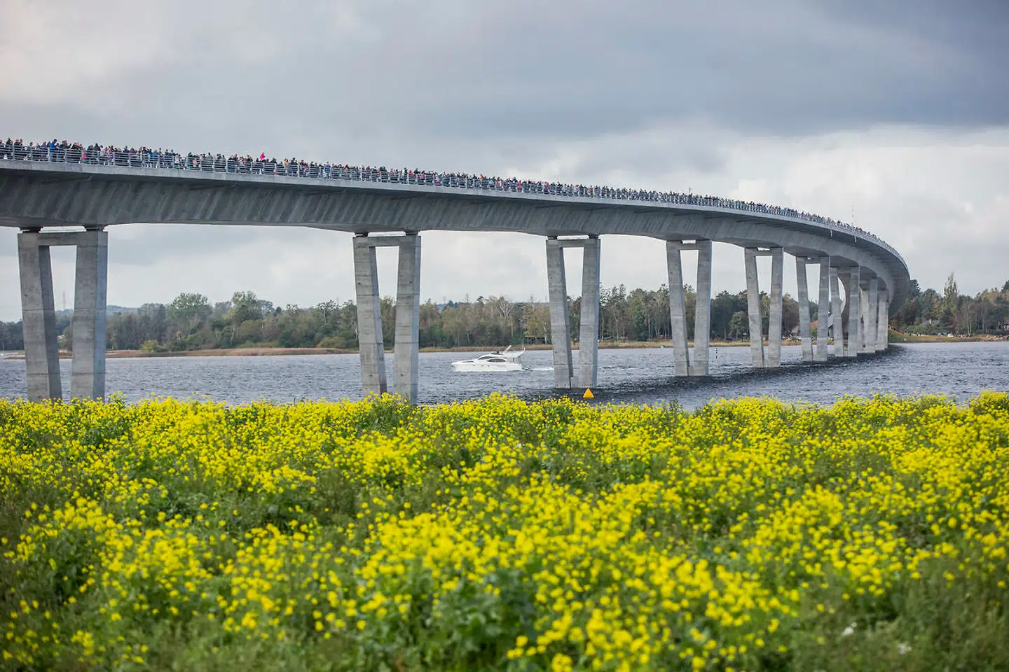 »Det er med stor undren, at man nu indfører egnsafviklingsafgift med den nye bro til Hornsherred, nemlig Kronprinsesse Marys Bro.«