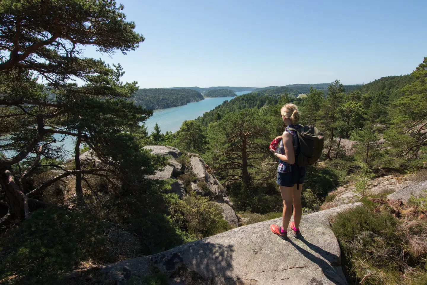 Nordens Ark ligger dybt inde i skærgården i Åbyfjorden i det smukke Vestsverige. Dyreparken arbejder for at øge kendskabet til Nordens truede dyrearter. (Foto: Fredrik Schenholm)