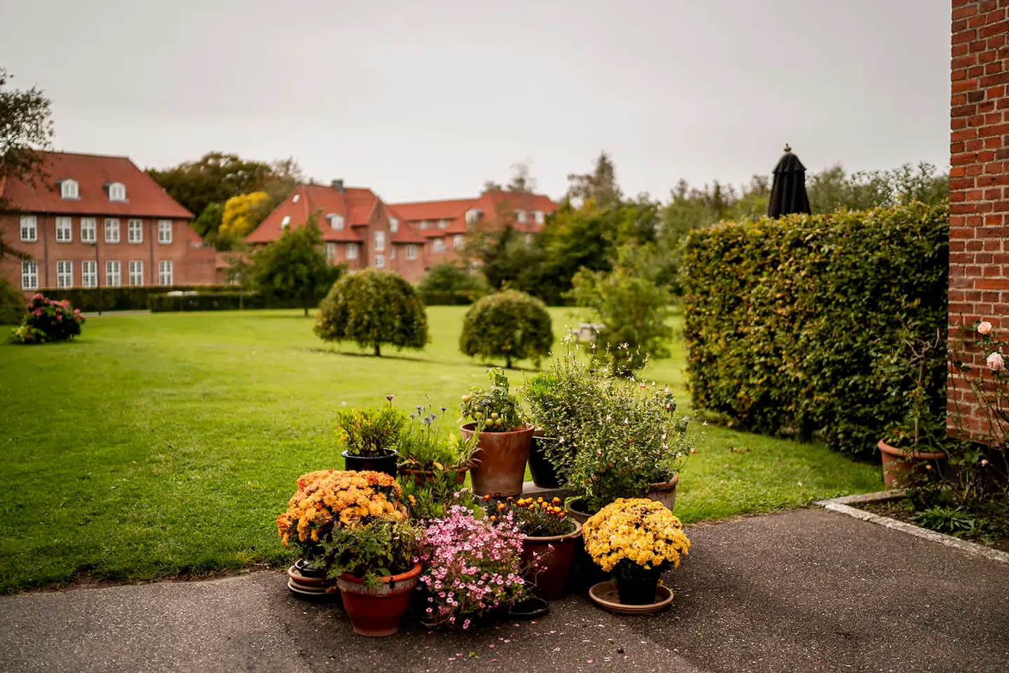 Svaneparken kan datere sin forhistorie tilbage til gammelt landbrugsland. I slutningen af det 19. århundrede blev stedet brugt til at opbevare sindslidende i tæt kontakt med naturen. Så blev bygningerne overfyldt og Ebberødgård lukket. I dag er Svaneparken et smukt beliggende boligområde.