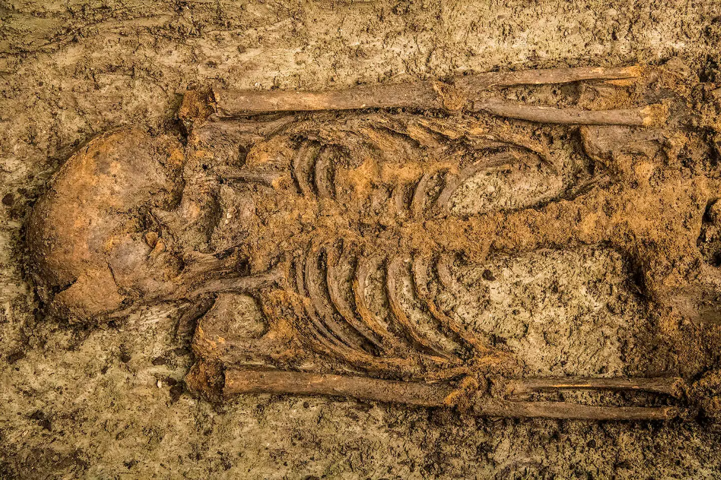 Skeletter er noget af det, der dukkede op under udgravningerne på Rådhuspladsen, hvor man også fandt en velbevaret del af den ydre byport, der blev bygget i løbet af renæssancen.