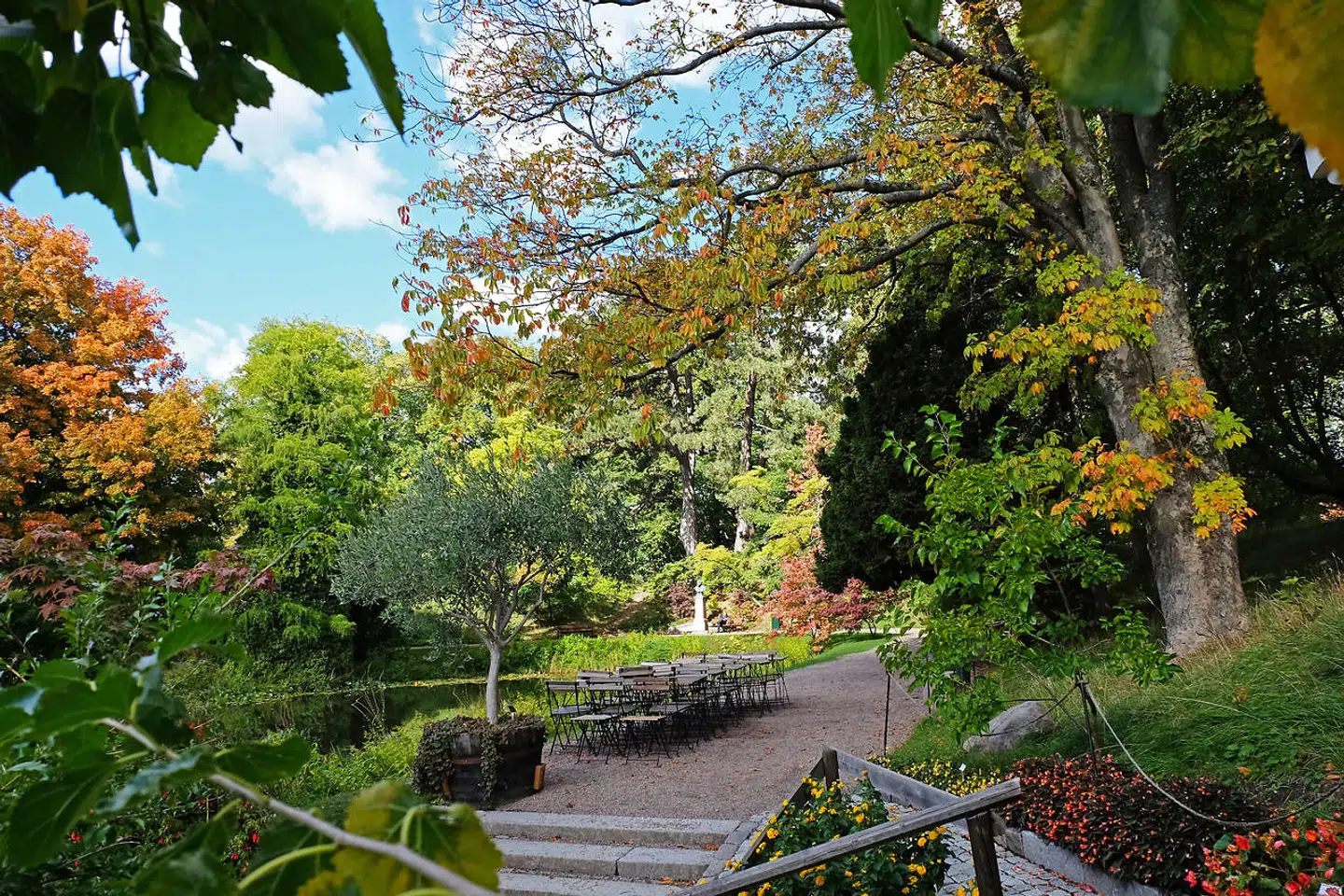 Lund har flere grønne oaser - blandt andre den botaniske have, som ligger midt i byen.