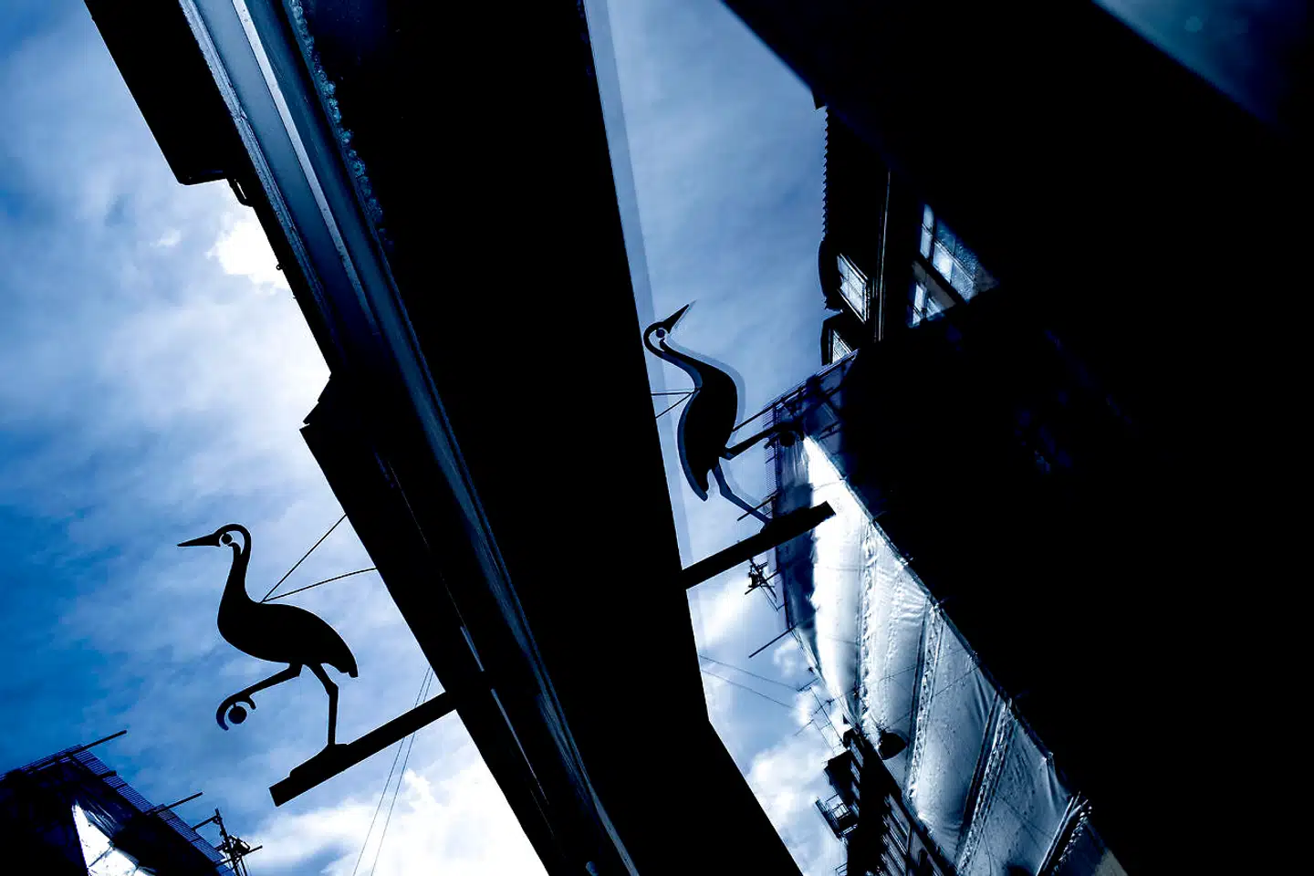 Gyldendal samler sin forlagsvirksomhed i Klareboderne, i Københavns indre by, hvor Danmarks største forlag har holdt til i næsten 250 år. Rosinante, Gyldendals selvstændige datterforlag, som holdt til få hundrede meter væk, ved Rundetårn, lukker nu som selstændigt selskab.