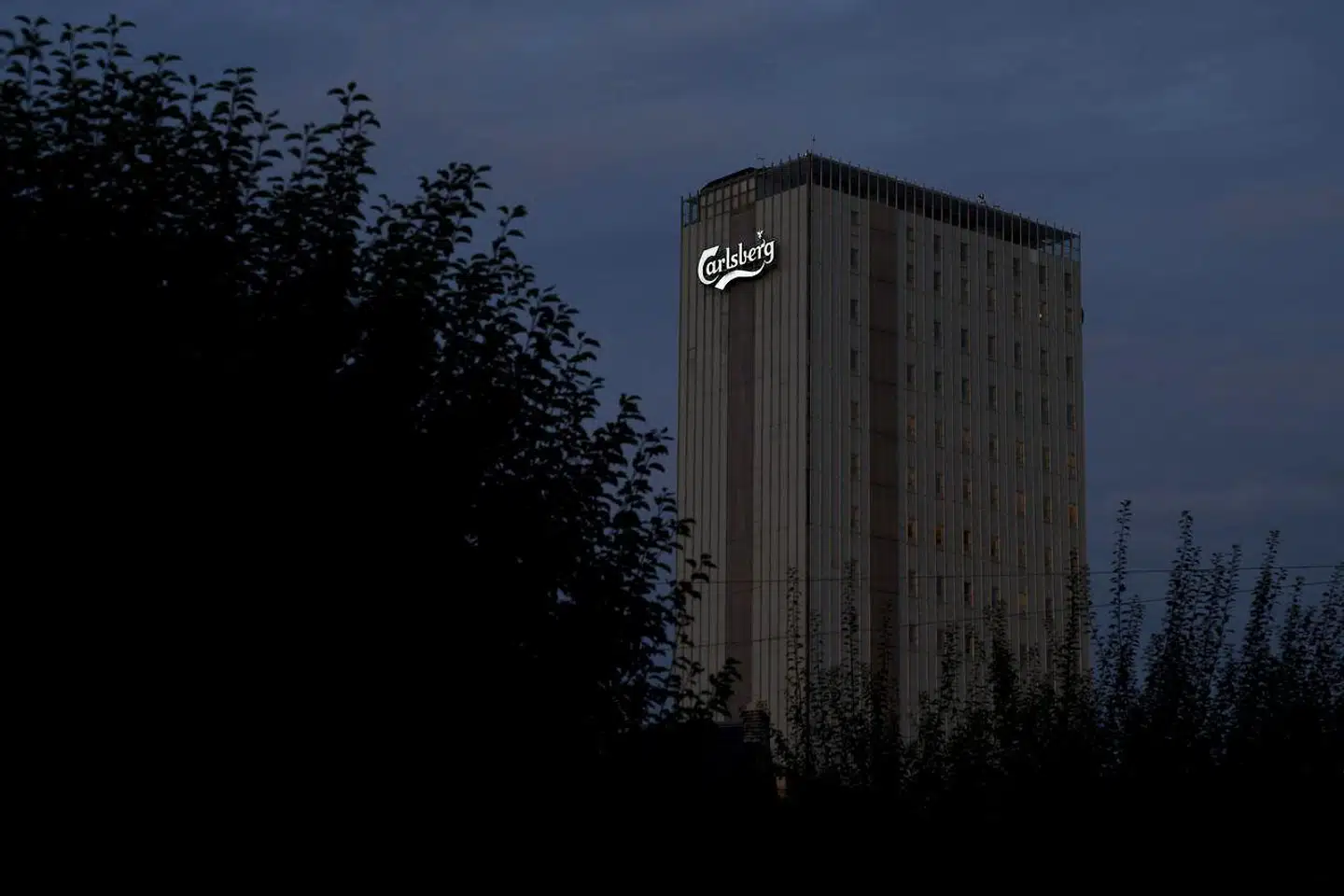 Omfattende materiale viser, at centrale personer i Carlsberg Indien systematisk har betalt embedsmænd under bordet. Carlsberg-koncernen varsler nu en omfattende undersøgelse. Arkivfoto: Linda Kastrup