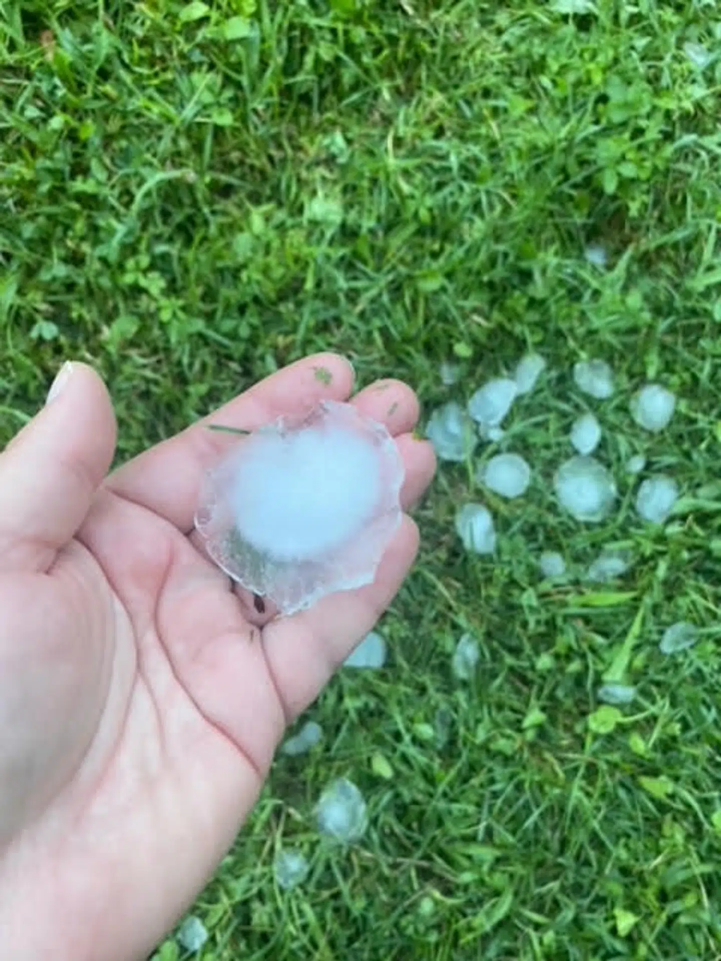 Her ses et af haglene ved seks-tiden tirsdag morgen.