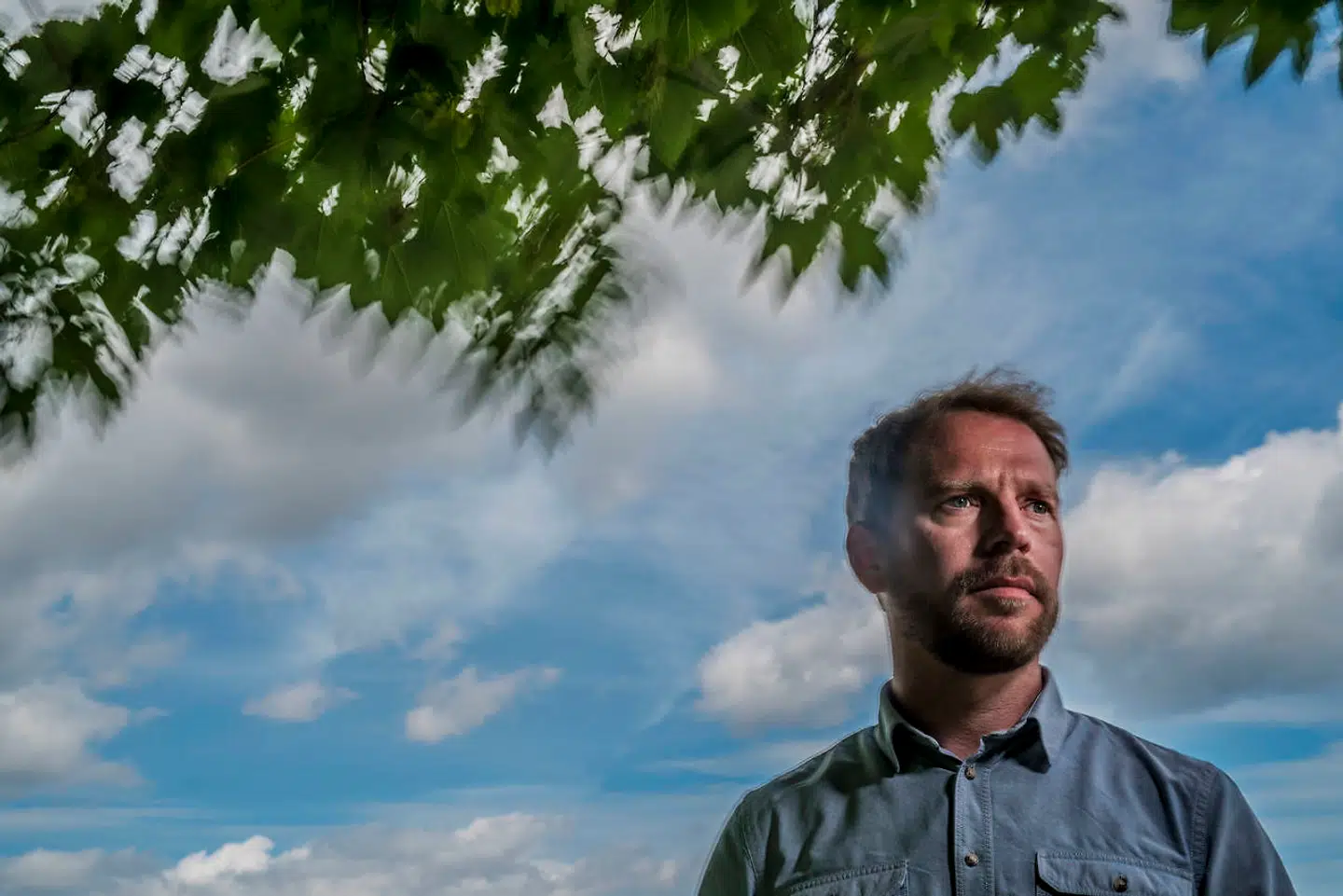 Mikkel Frey Damgaard er født i 1978, uddannet journalist med supplerende studier i kunsthistorie ved Københavns Universitet. Han har været vært på DR2s »Deadline« og »DR2 Dagen«.