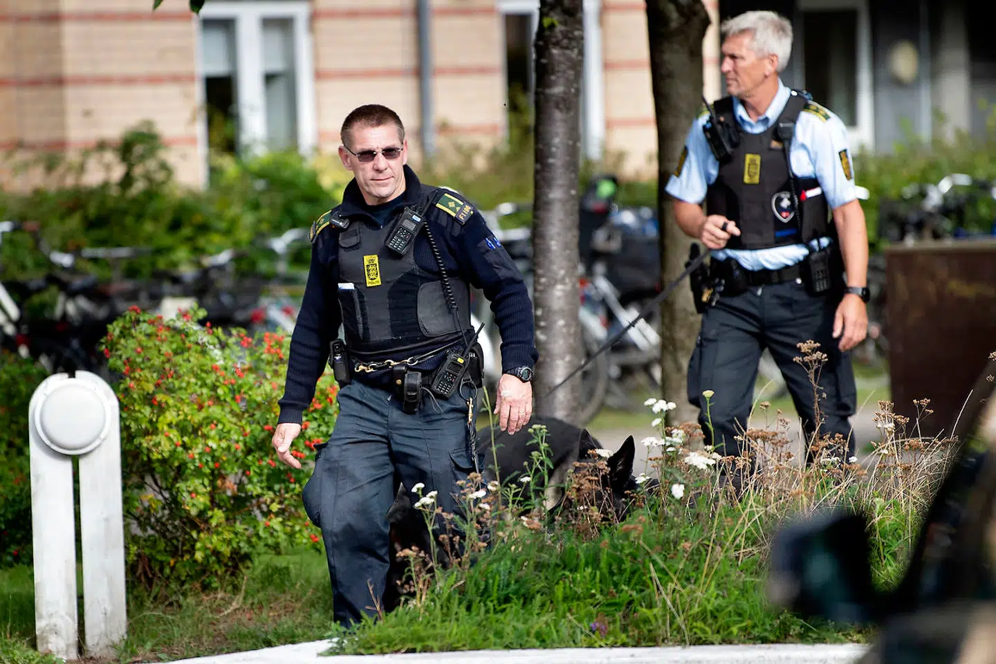 Politiet går gennem området til fods for at vide sig sikre på, at alle spor er indsamlet.