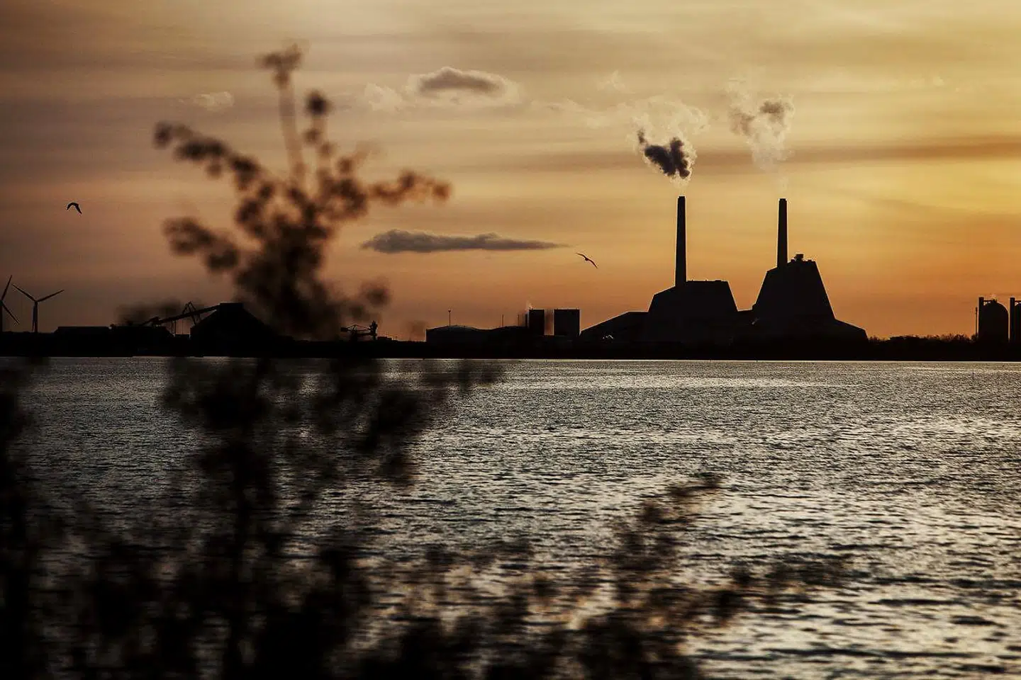 »Globalt er vejen frem blotlagt af forskning foretaget på FN’s vegne, hvor man undersøgte fem forskellige globale fremtidsscenarier. Det viser sig, at menneskeheden vil være meget bedre stillet – også i Afrika – i et scenario med omfattende brug af fossile brændstoffer, end den ville være, selv hvis det lykkedes at opnå en uskadelig verden med lave CO₂-udledninger.«