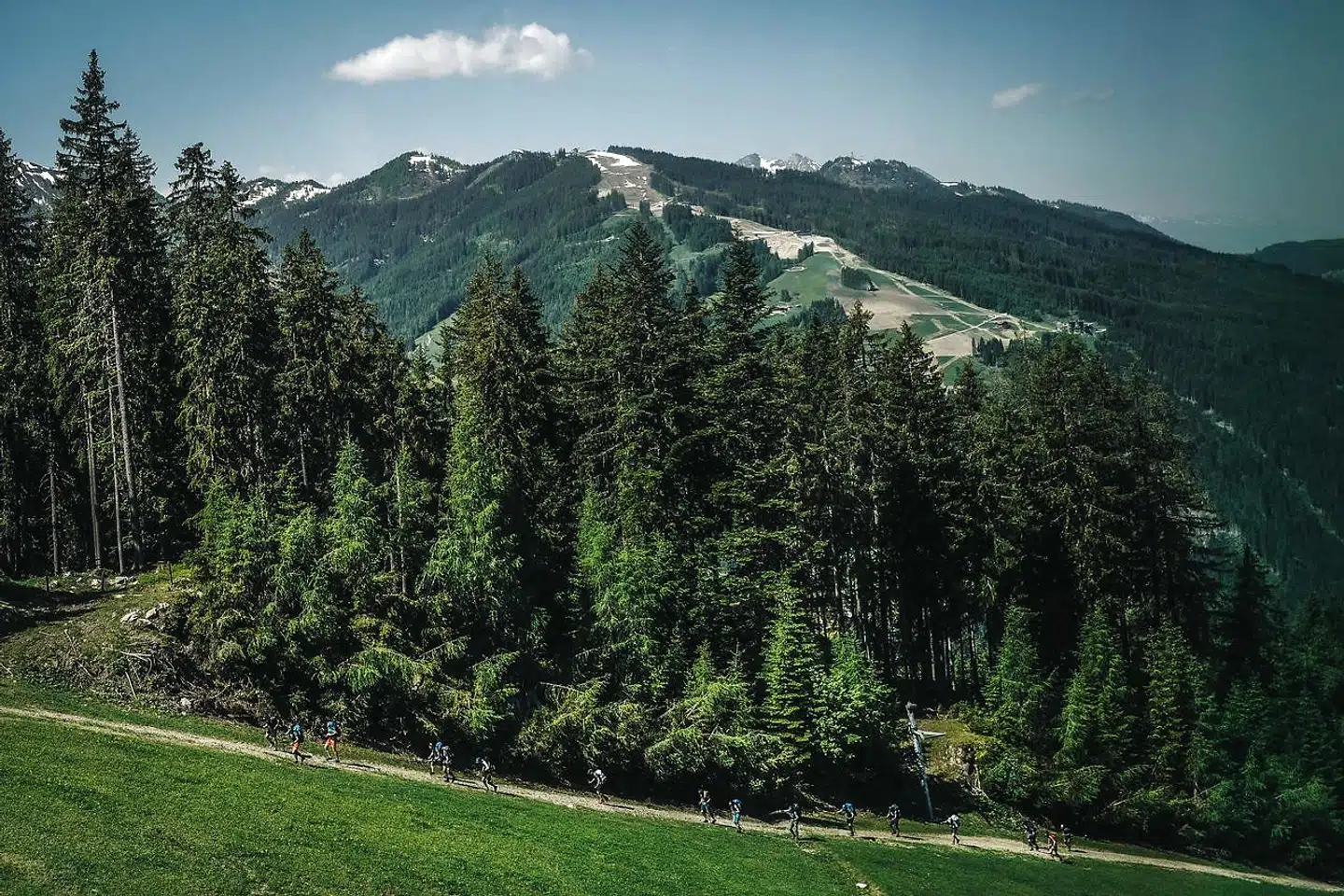 De østrigske alpåer er fulde af fantastiske scenerier - og ikke nødvendigvis med mange nazister længere. Foto: Lucas BARIOULET / AFP