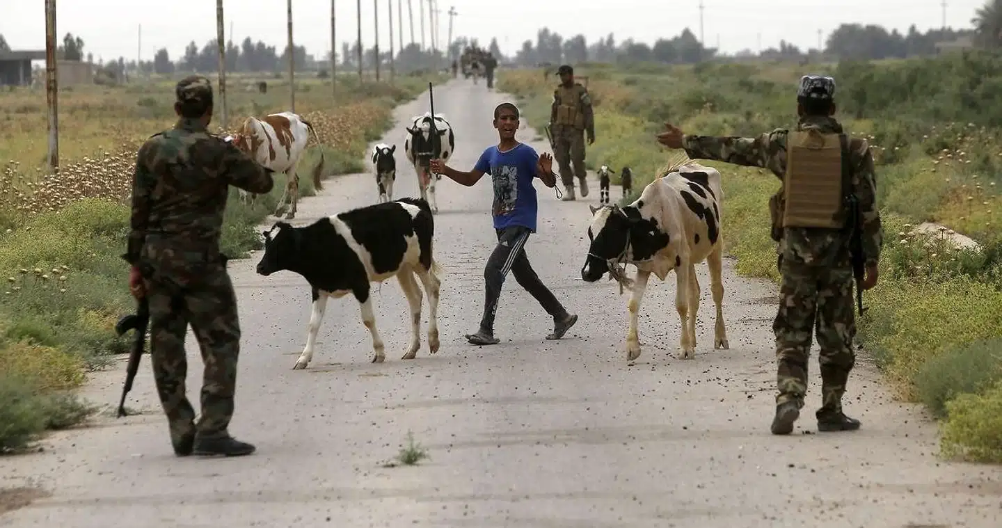 ARKIVFOTO: I sidste uge blev indbyggerne i en irakisk landsby vidne til et bemærkelsesværdigt optrin.