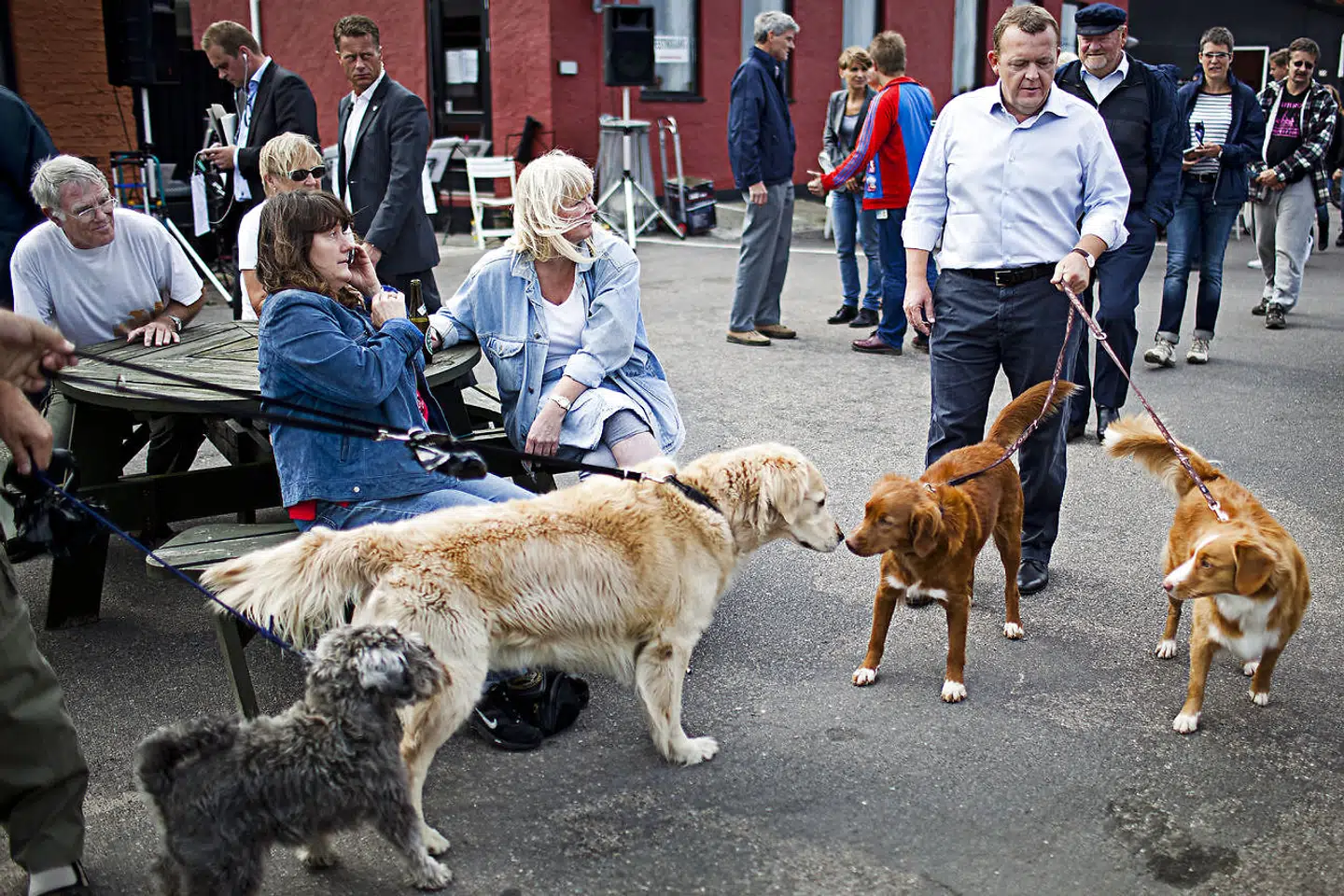 Folketingsvalget i 2011. Statsminister Lars Løkke Rasmussen lufter sine hunde Bella og Beauty til sildefestival på Hundested havn.