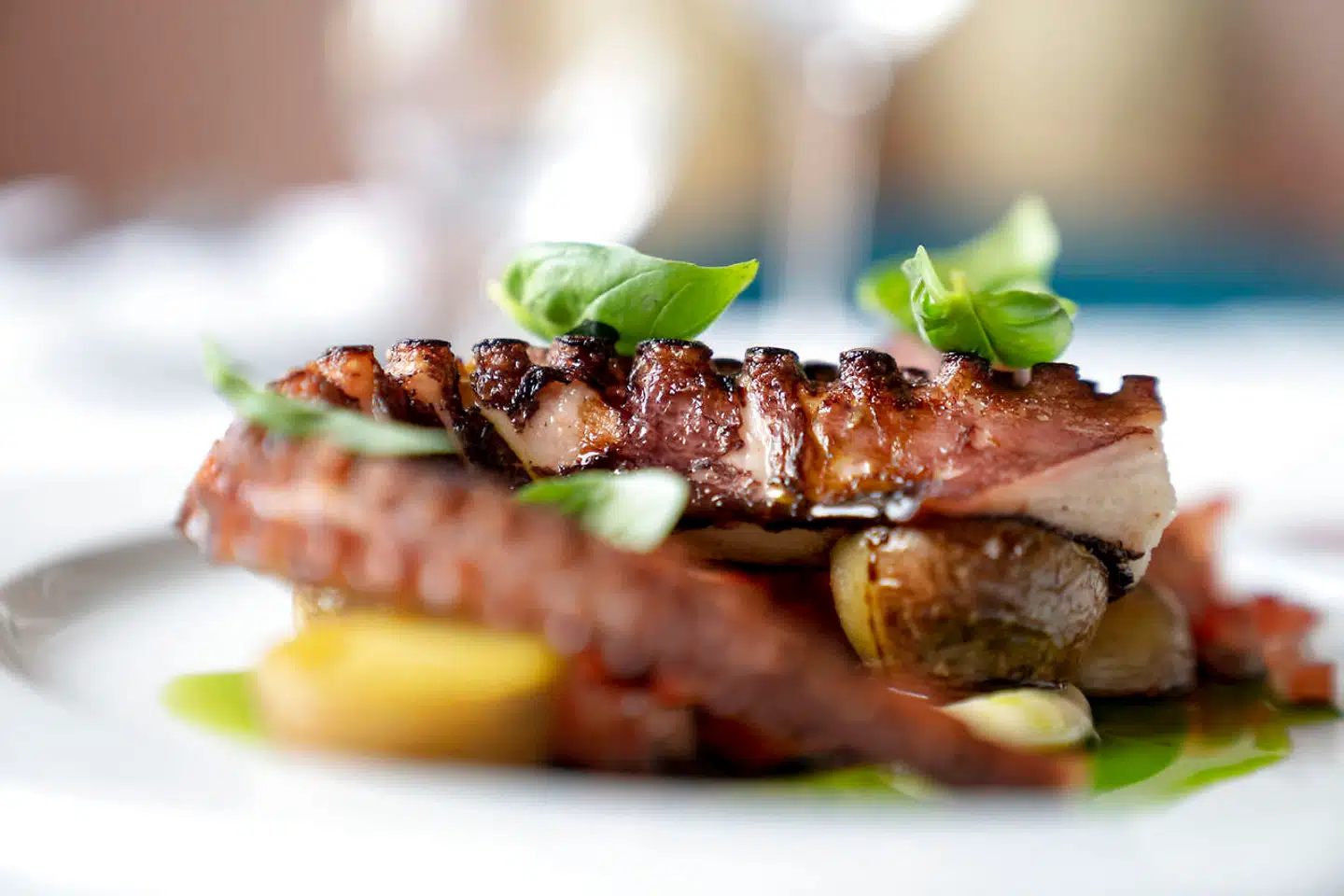 De to arme af pulpo-blækspruttens i alt otte var perfekt grillet (hvilket den også bør være til 245 kr.) med en sødlig smag, der hyggede sig gevaldigt med syren fra tomatsalat med hvidløg, oliven og balsamico samt confiterede og grillede kartofler.