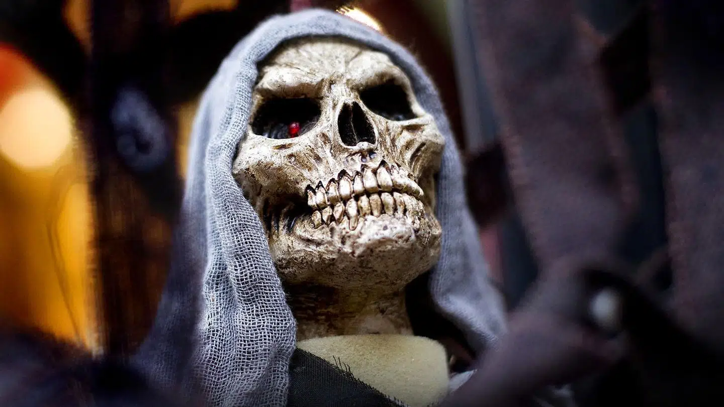 »Naturligvis ændrer normer sig over tid, men det virker som en meget lidt ønskværdig situation, at personer, hvoraf flere må antages at blive præster, der skal varetage begravelser, eksistentielle kriser og alskens sjælesorg, ikke tør gennemføre noget, der var almindeligt på lejrskoleture for folkeskolebørn for ganske kort tid siden.«