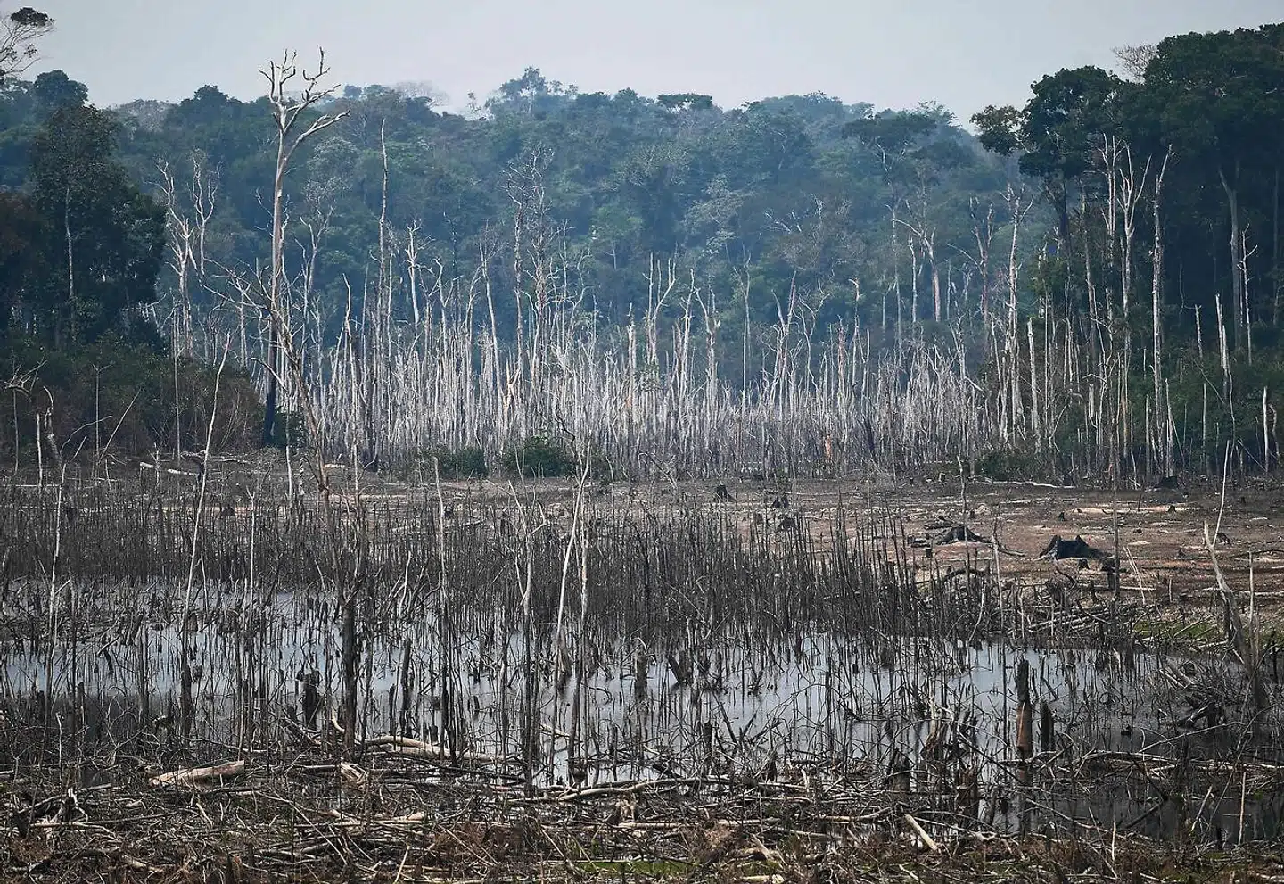 Hvad der engang var frodig, grøn regnskov er i dag store udbrændte områder. Billedet er taget i området uden for Porto Velho, der er hovedstad i den brasilianske delstat Rondônia.